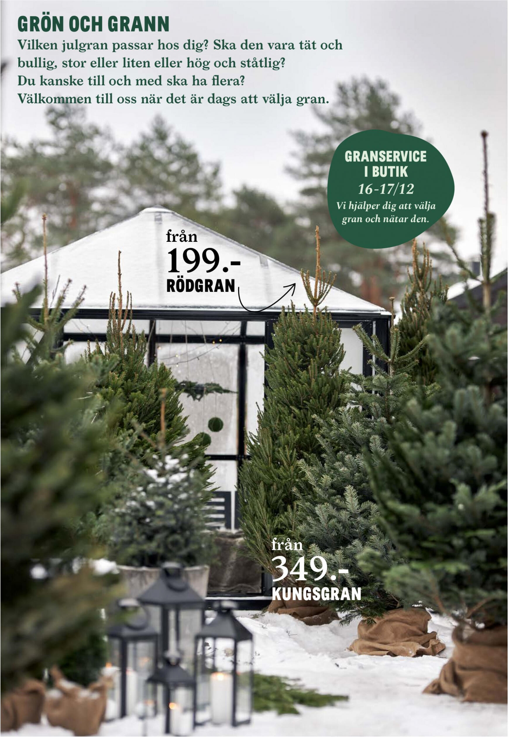 blomster-landet - Blomster Landet giltigt från och med 11.12.2023 - page: 4