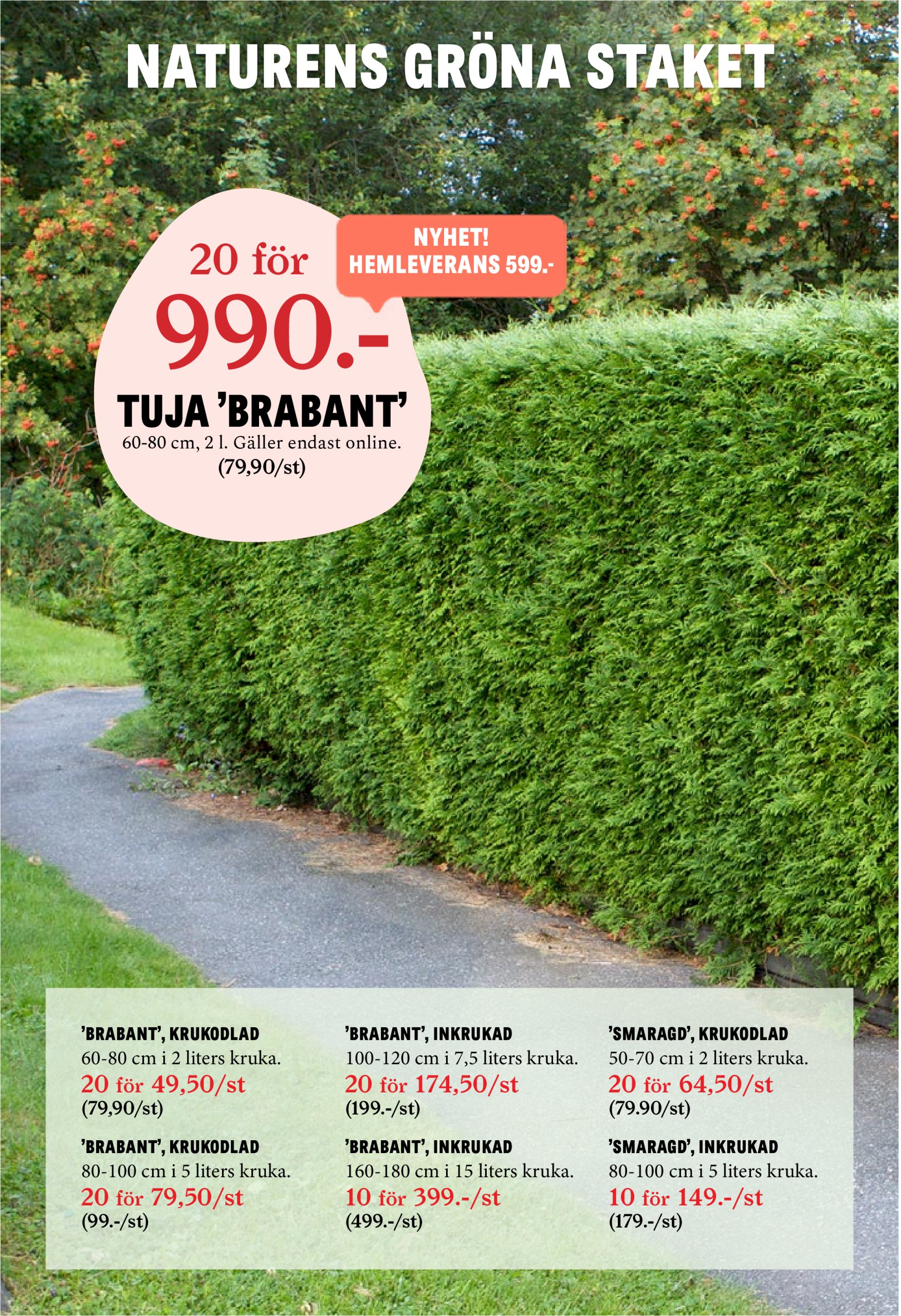 blomster-landet - Blomster Landet-reklambladet giltigt från 22/04 - 27/04 - page: 13
