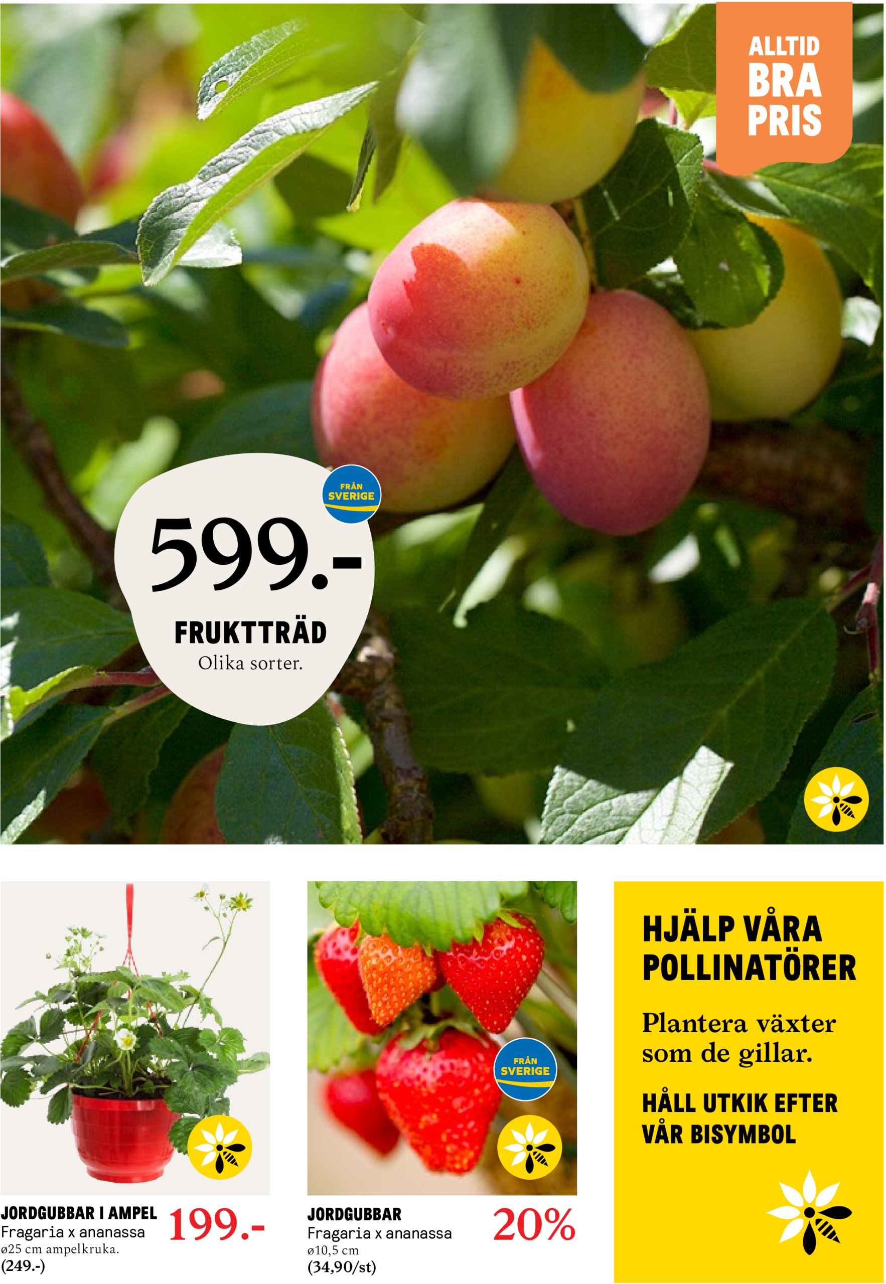 blomster-landet - Blomster Landet-reklambladet giltigt från 22/04 - 27/04 - page: 5