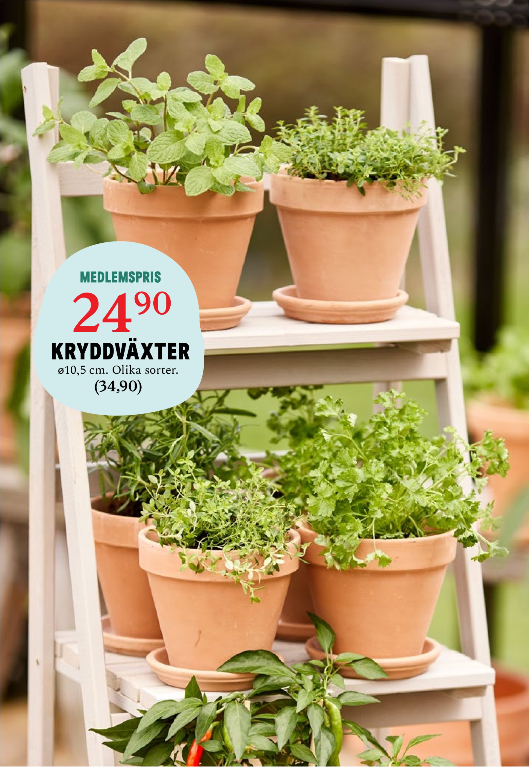 blomster-landet - Blomster Landet-reklambladet giltigt från 22/04 - 27/04 - page: 2