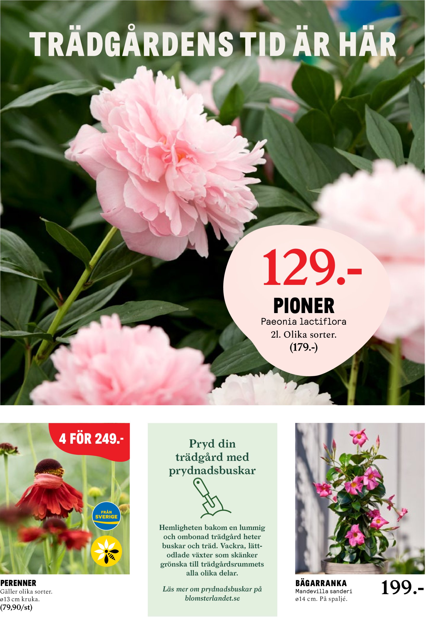 blomster-landet - Blomster Landet-reklambladet giltigt från 22/04 - 27/04 - page: 8