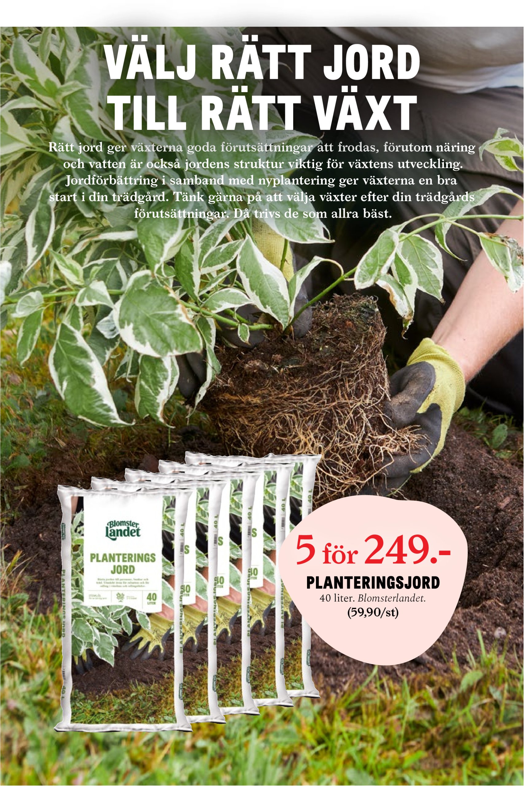 blomster-landet - Blomster Landet-reklambladet giltigt från 22/04 - 27/04 - page: 11