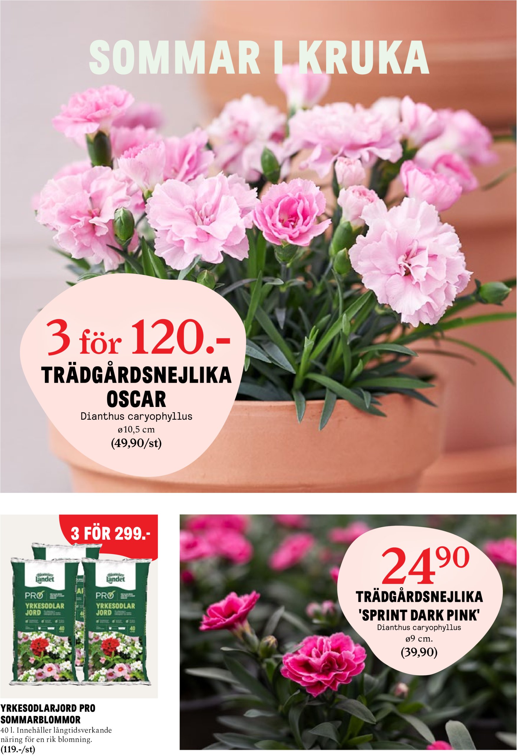 blomster-landet - Blomster Landet-reklambladet giltigt från 22/04 - 27/04 - page: 6