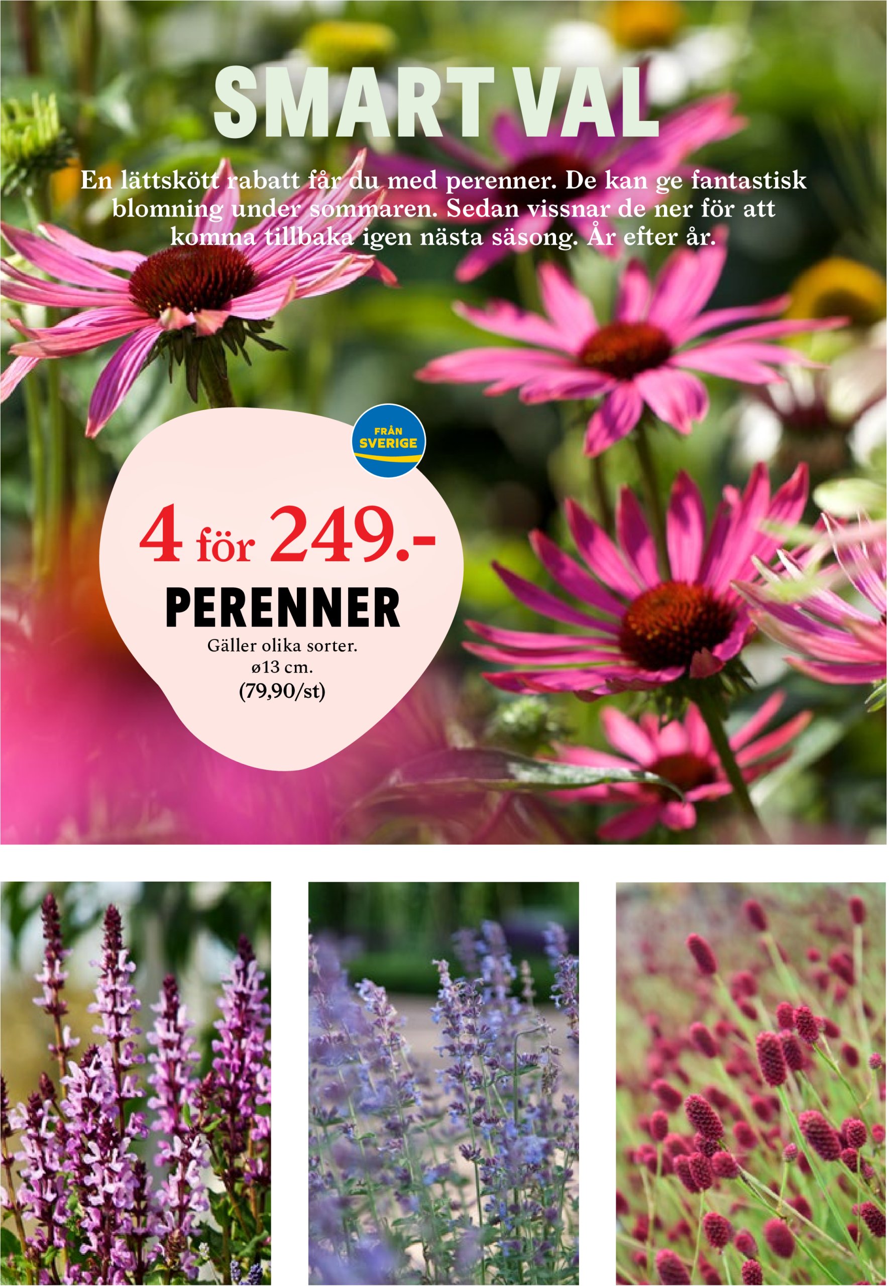 blomster-landet - Blomster Landet-reklambladet giltigt från 28/04 - 04/05 - page: 8