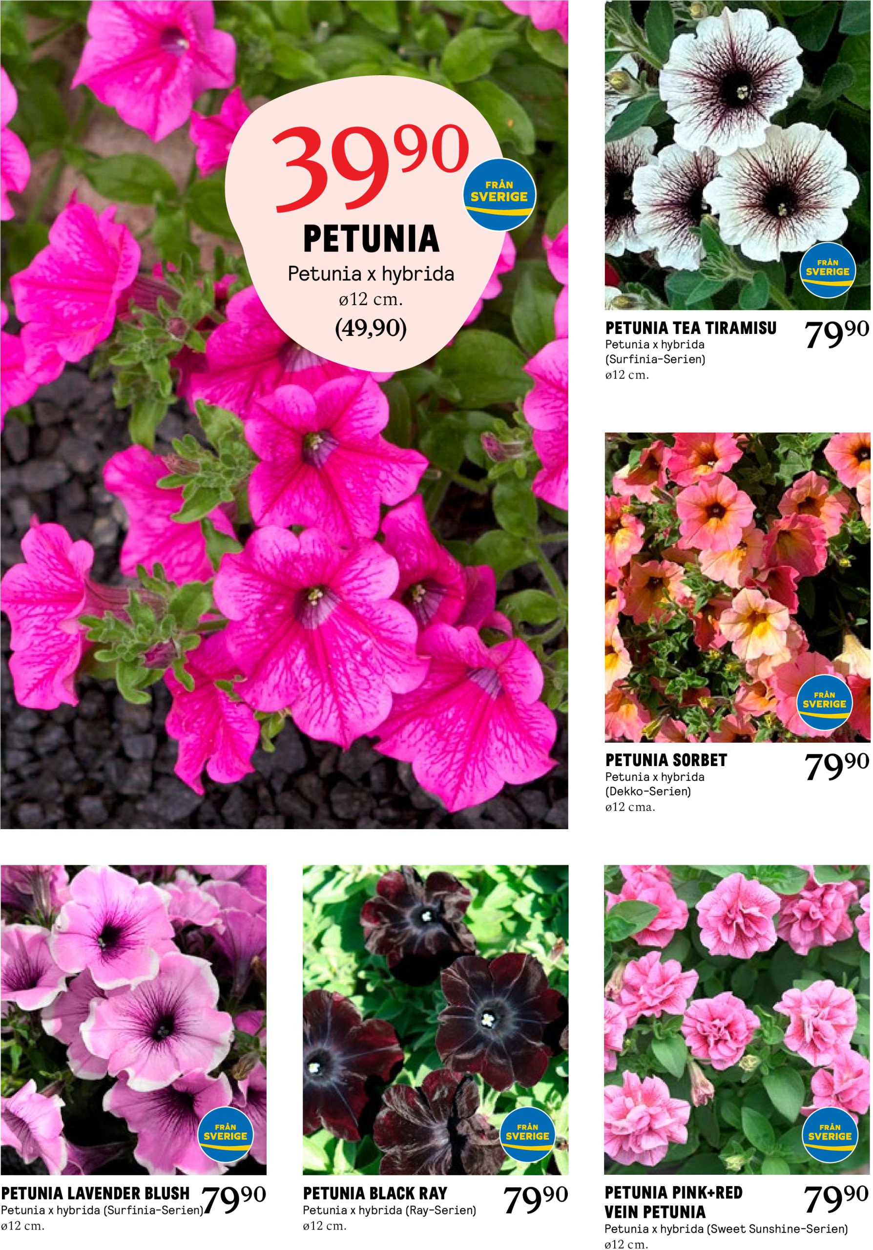 blomster-landet - Blomster Landet-reklambladet giltigt från 28/04 - 04/05 - page: 5