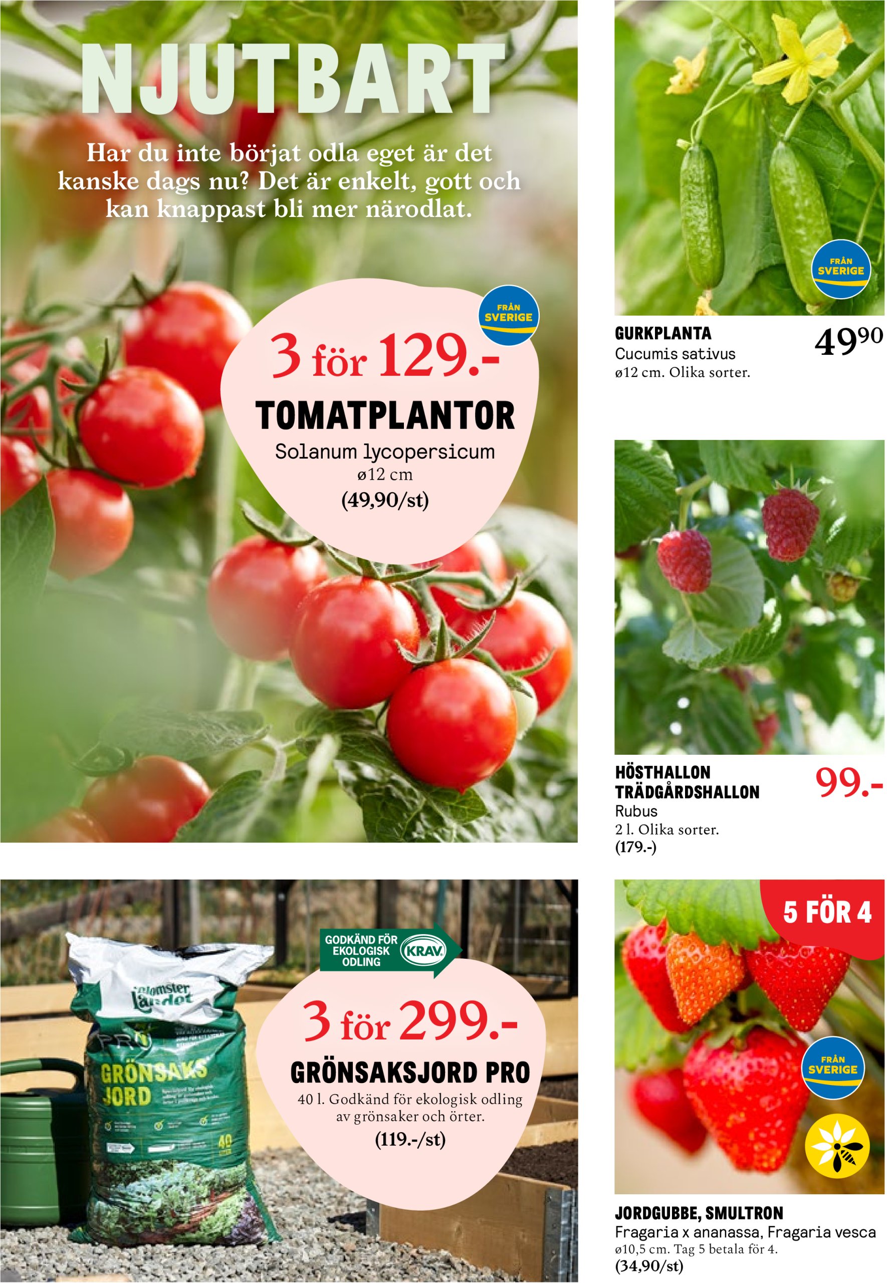 blomster-landet - Blomster Landet-reklambladet giltigt från 05/05 - 11/05 - page: 6