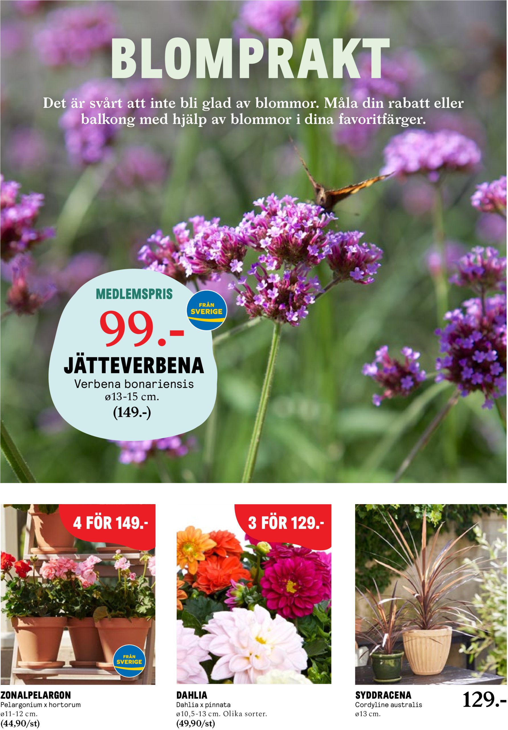 blomster-landet - Blomster Landet-reklambladet giltigt från 05/05 - 11/05 - page: 2