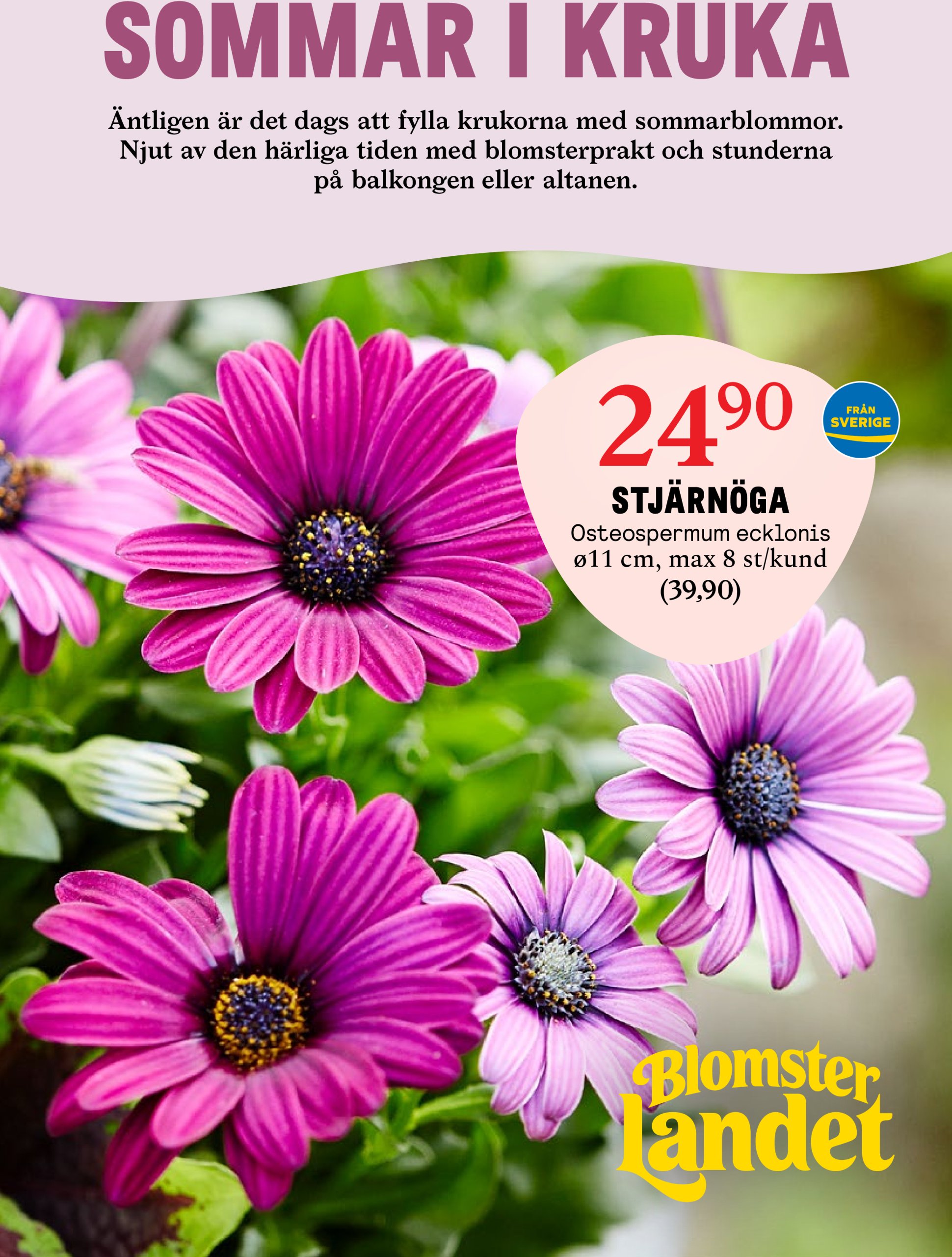 blomster-landet - Blomster Landet-reklambladet giltigt från 05/05 - 11/05