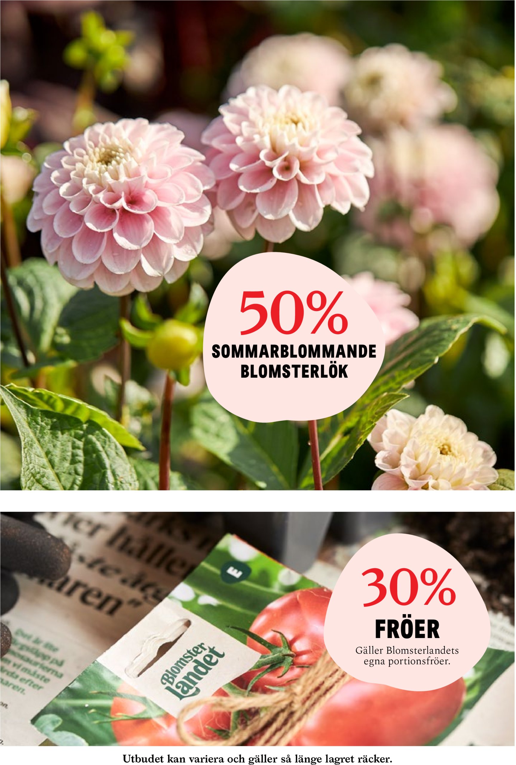 blomster-landet - Blomster Landet-reklambladet giltigt från 05/05 - 11/05 - page: 8