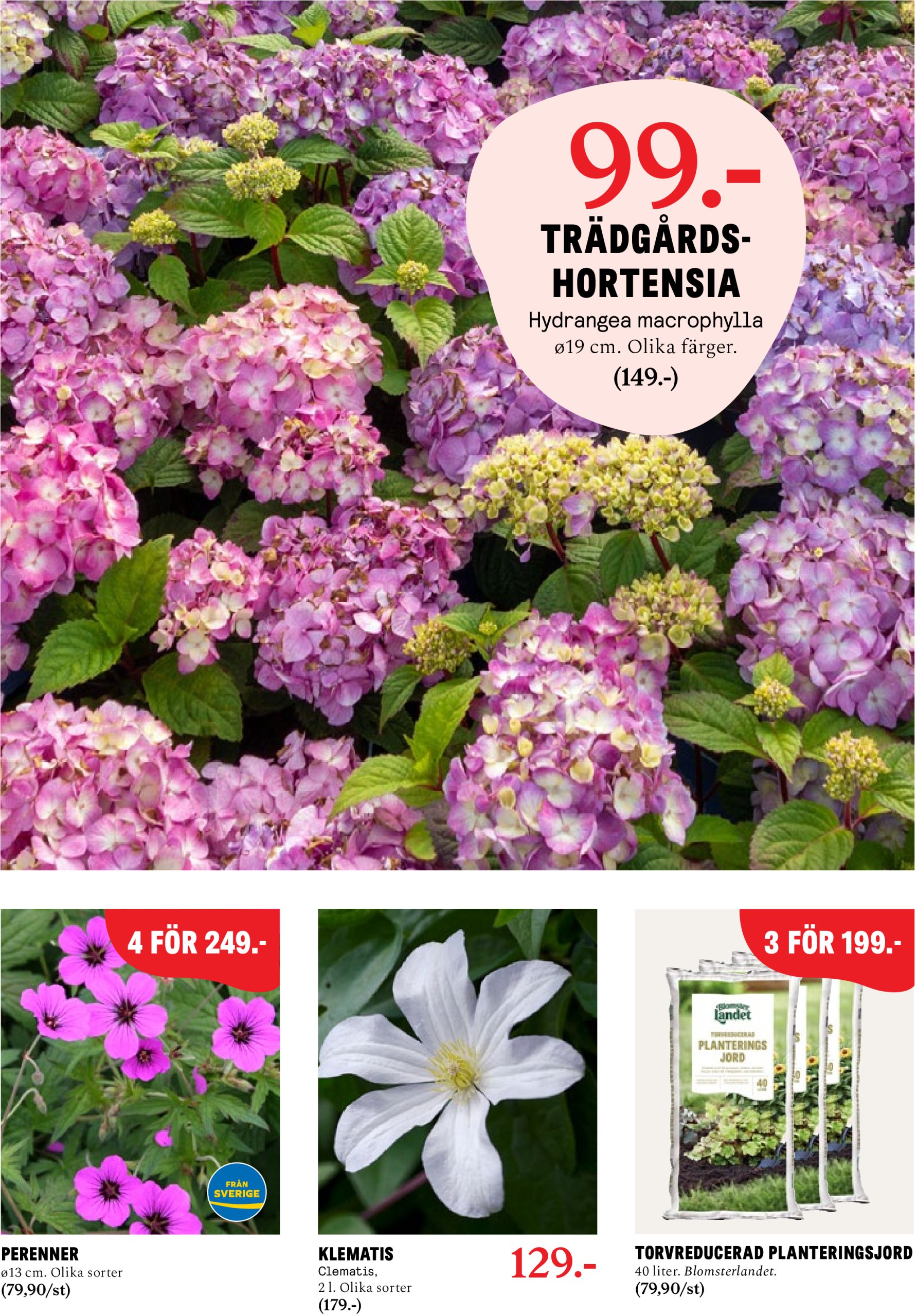 blomster-landet - Blomster Landet-reklambladet giltigt från 05/05 - 11/05 - page: 9