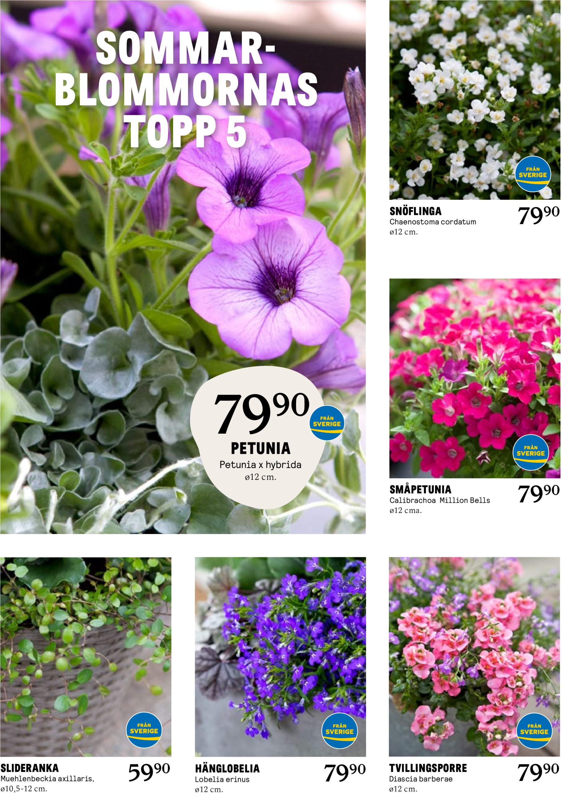 blomster-landet - Blomster Landet-reklambladet giltigt från 05/05 - 11/05 - page: 4