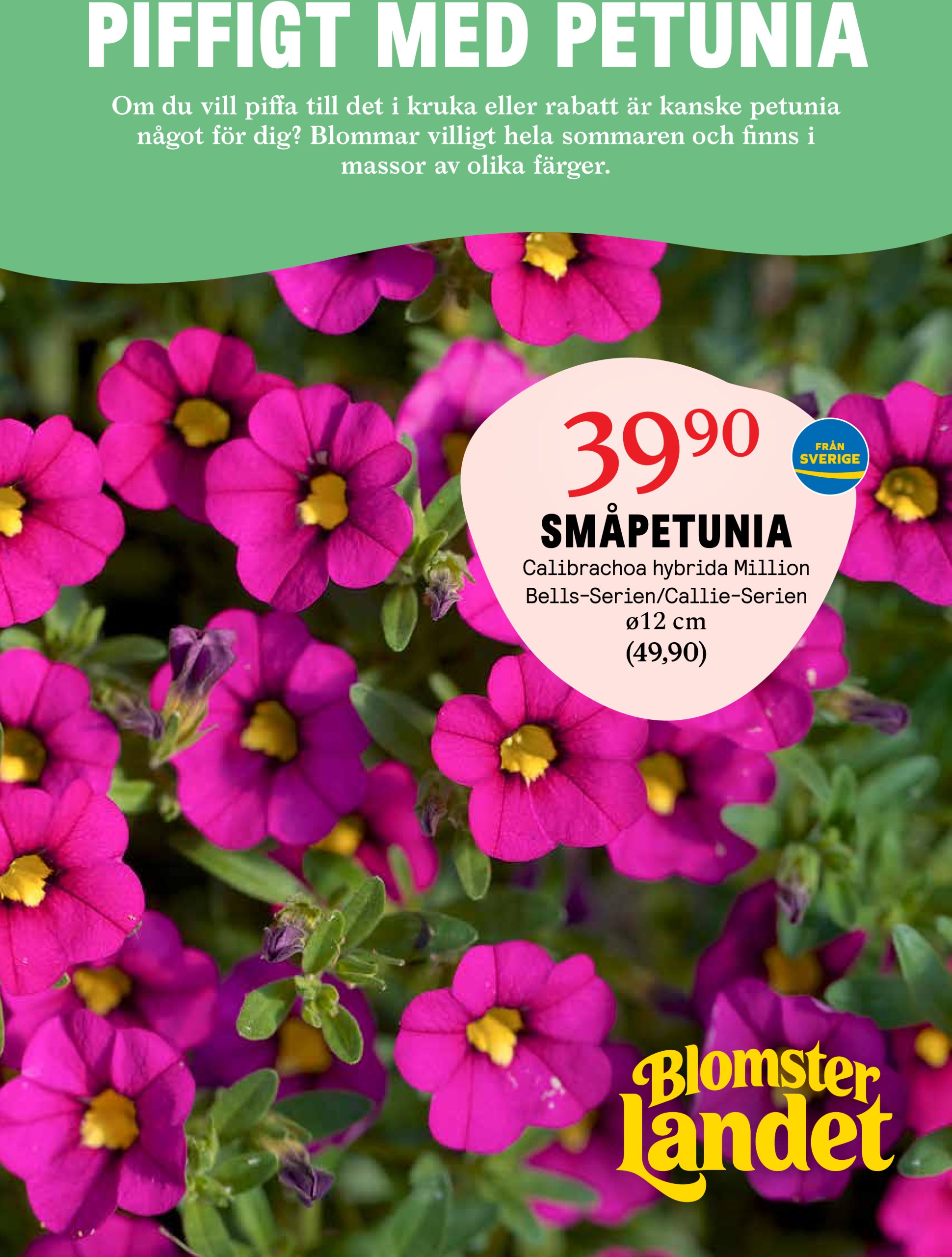 blomster-landet - Blomster Landet-reklambladet giltigt från 12/05 - 18/05