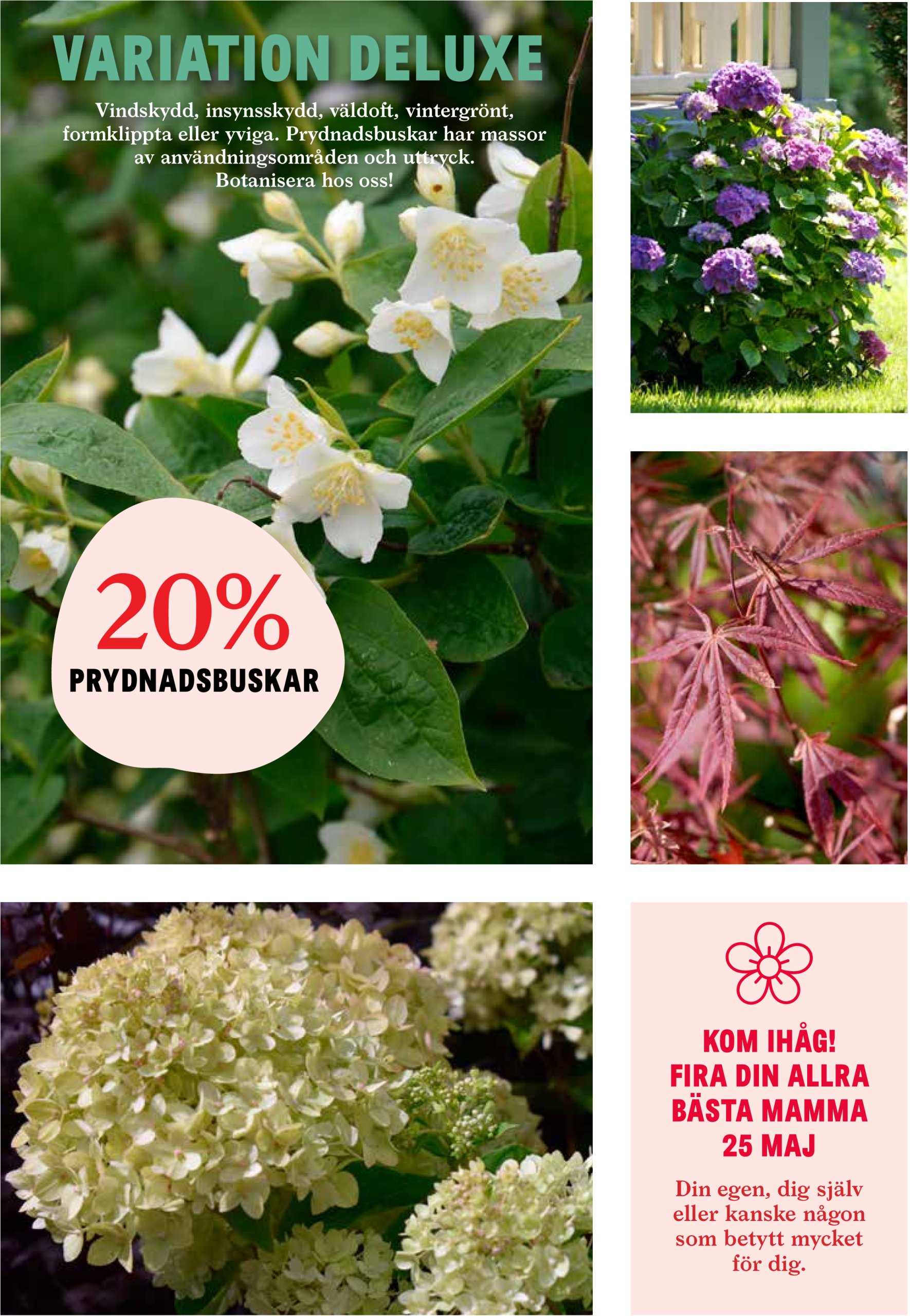 blomster-landet - Blomster Landet-reklambladet giltigt från 12/05 - 18/05 - page: 4