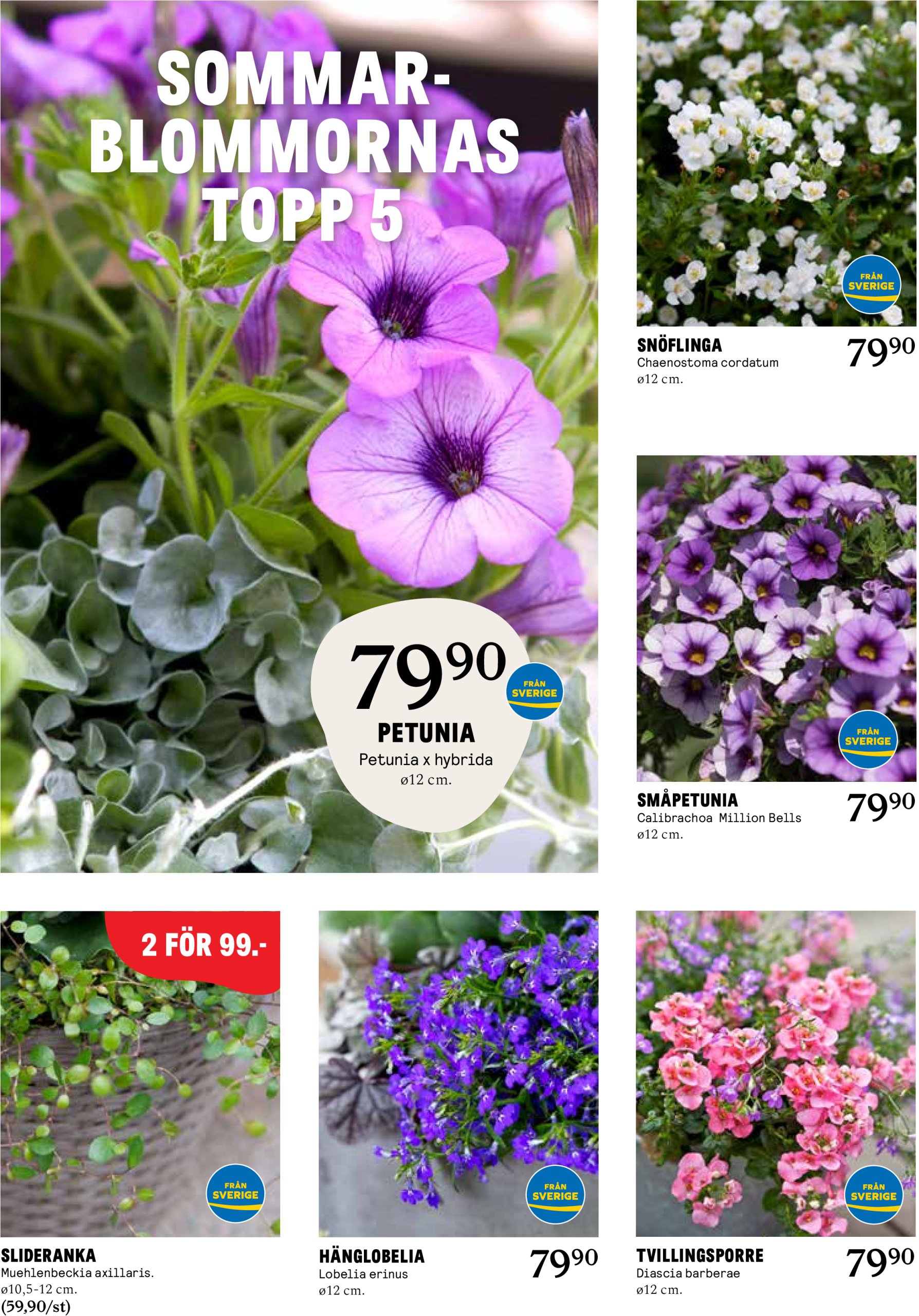 blomster-landet - Blomster Landet-reklambladet giltigt från 12/05 - 18/05 - page: 2