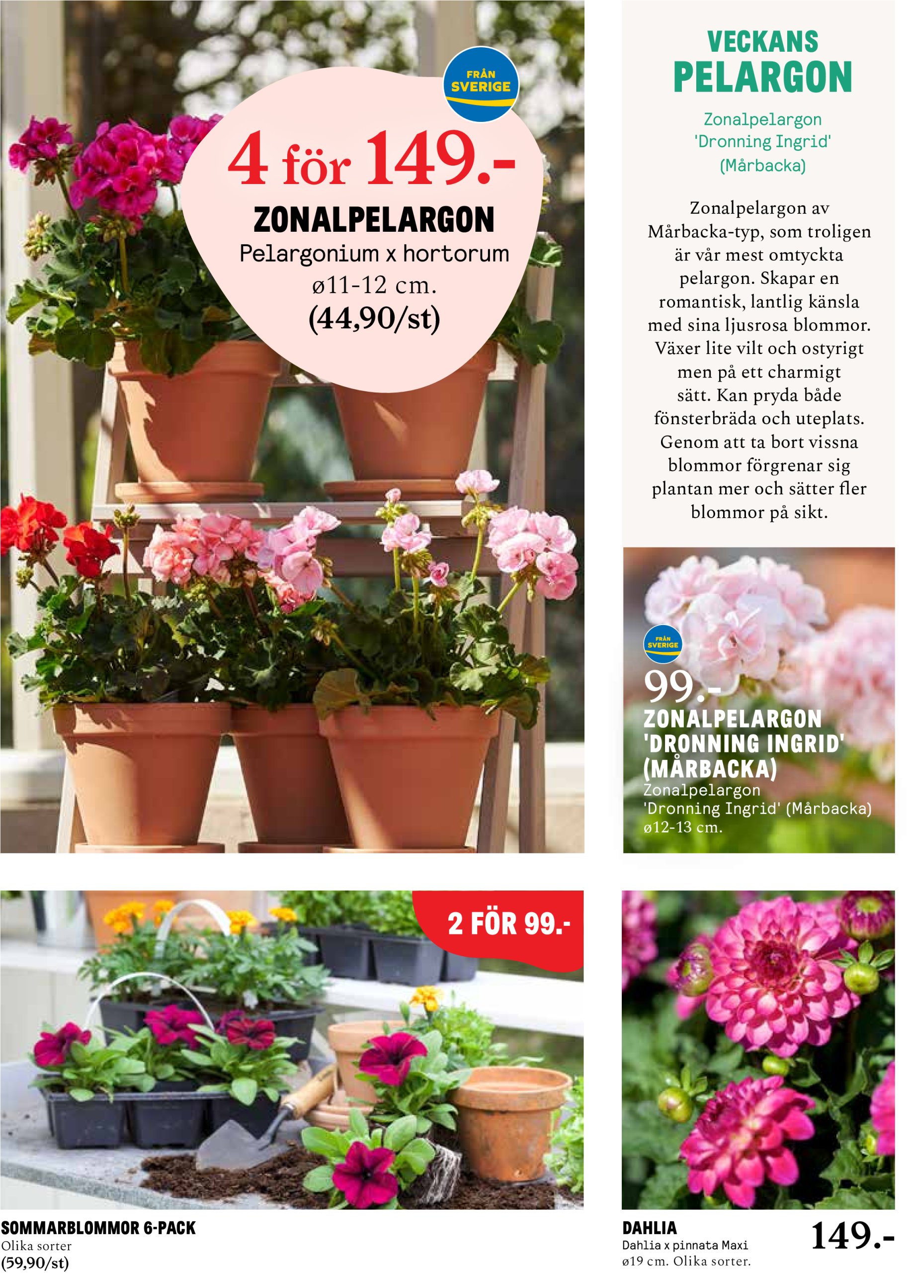 blomster-landet - Blomster Landet-reklambladet giltigt från 12/05 - 18/05 - page: 3