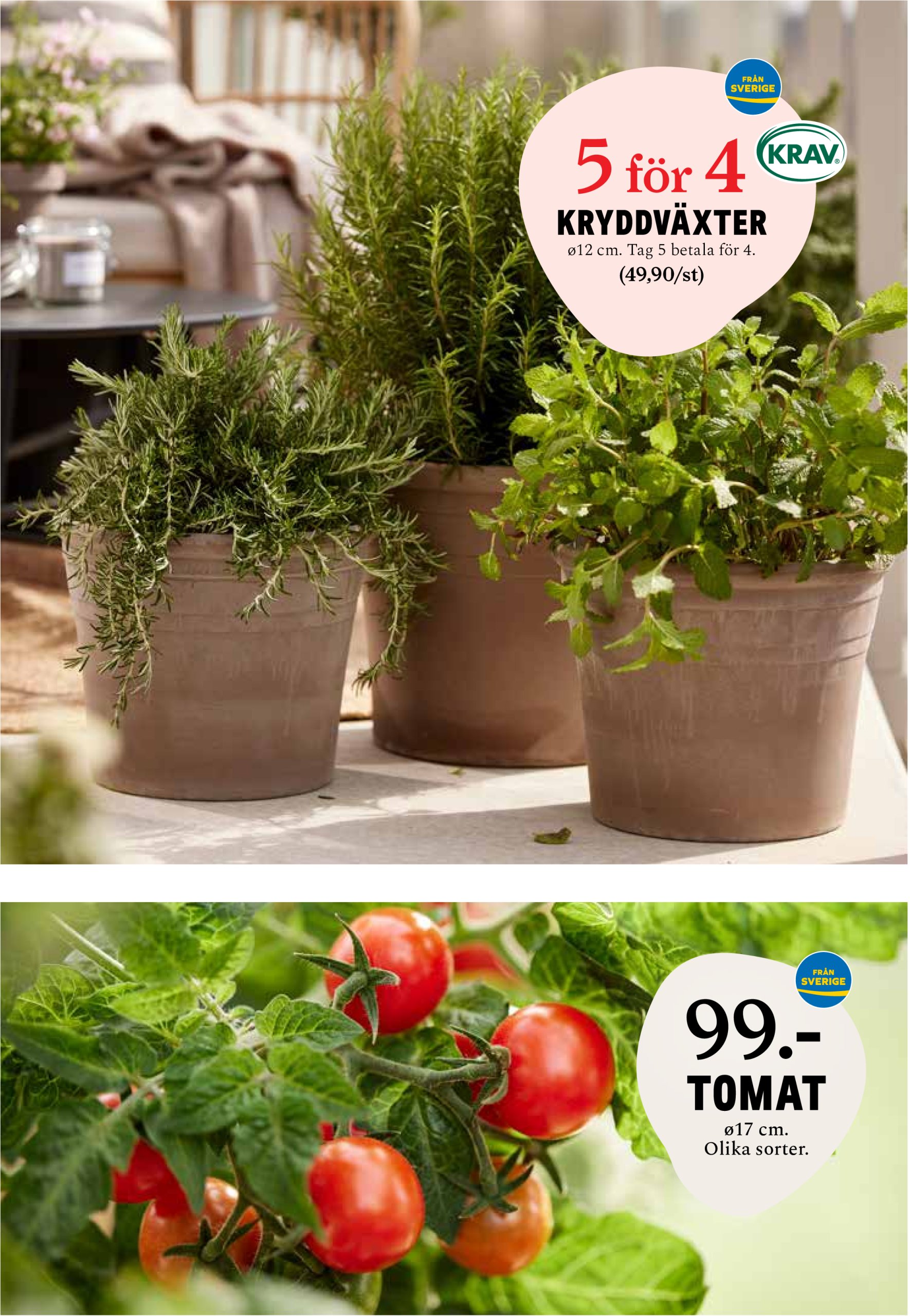 blomster-landet - Blomster Landet-reklambladet giltigt från 19/05 - 25/05 - page: 8