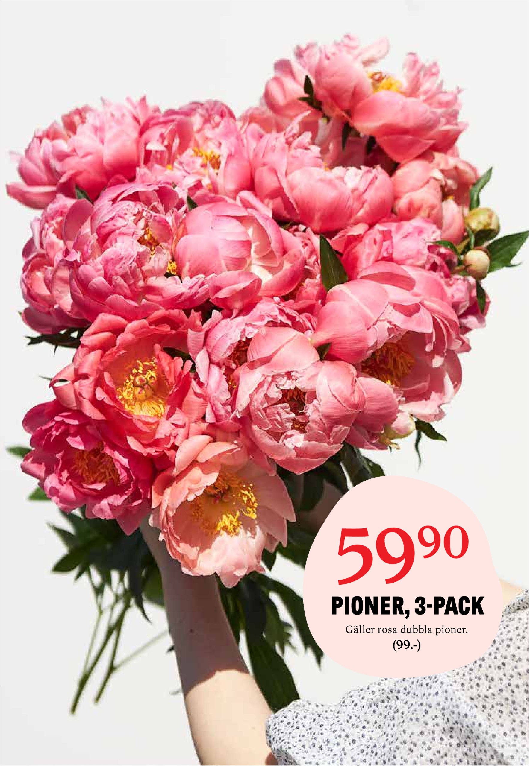 blomster-landet - Blomster Landet-reklambladet giltigt från 19/05 - 25/05 - page: 4