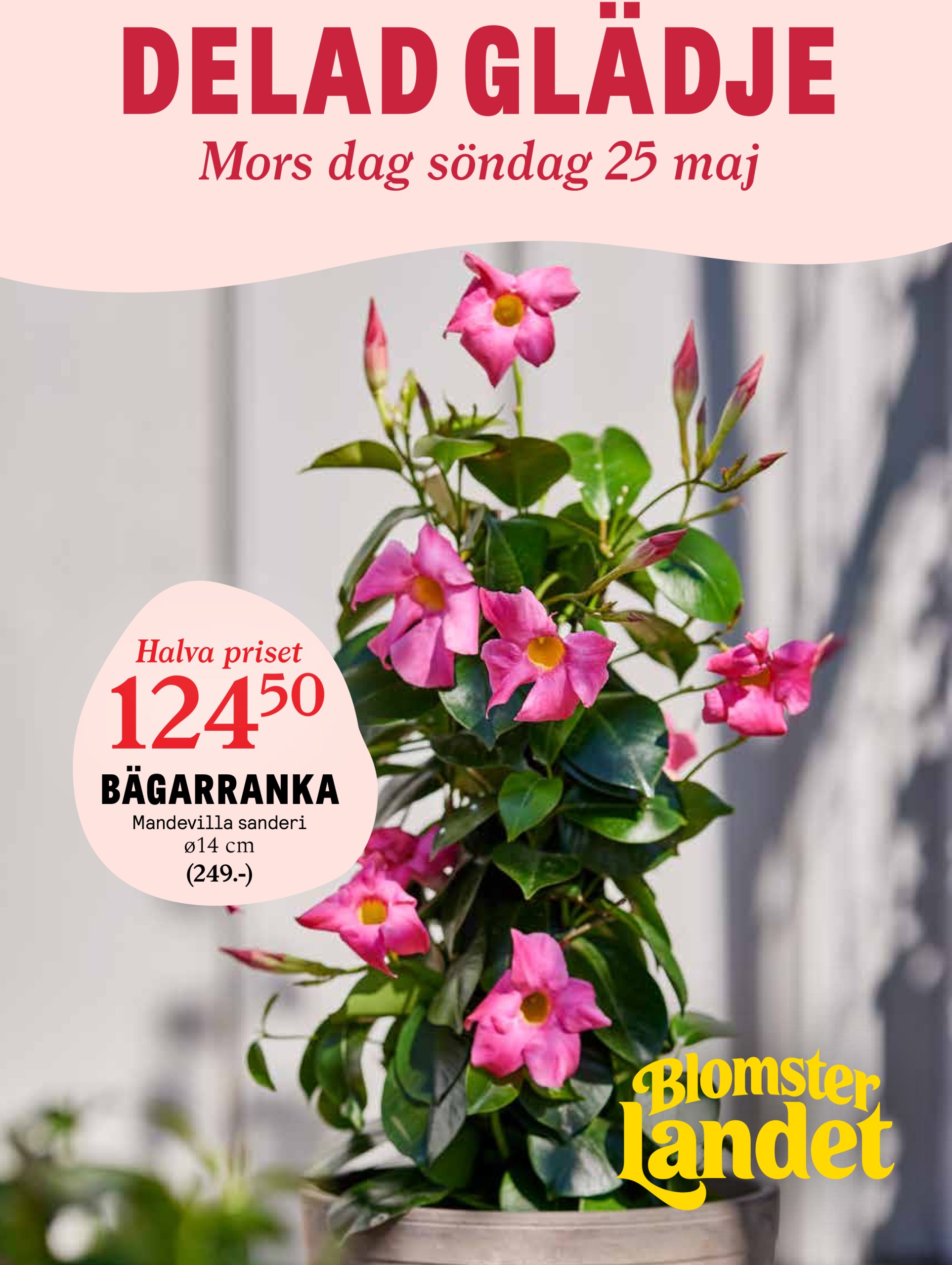 blomster-landet - Blomster Landet-reklambladet giltigt från 19/05 - 25/05 - page: 1