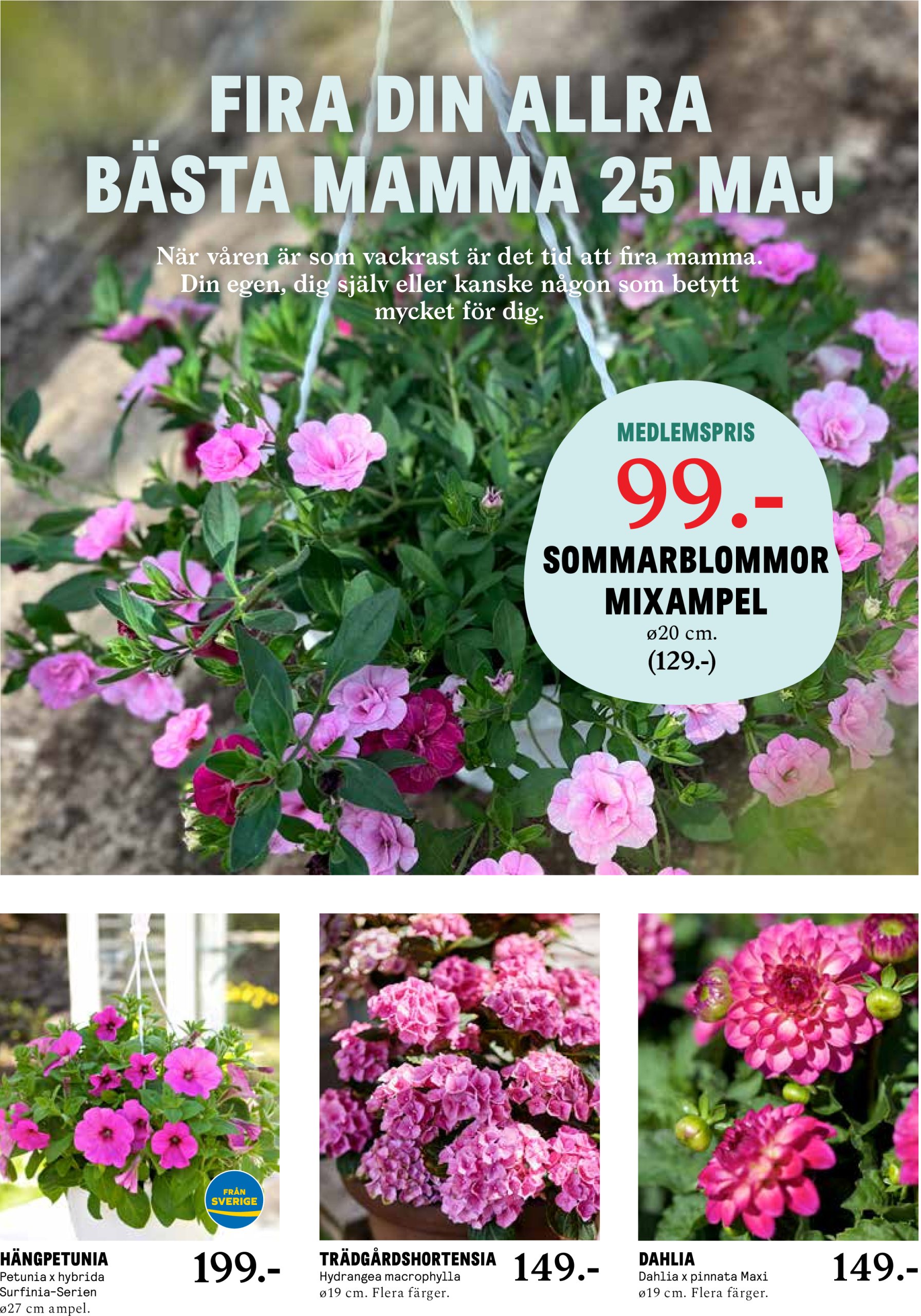 blomster-landet - Blomster Landet-reklambladet giltigt från 19/05 - 25/05 - page: 2