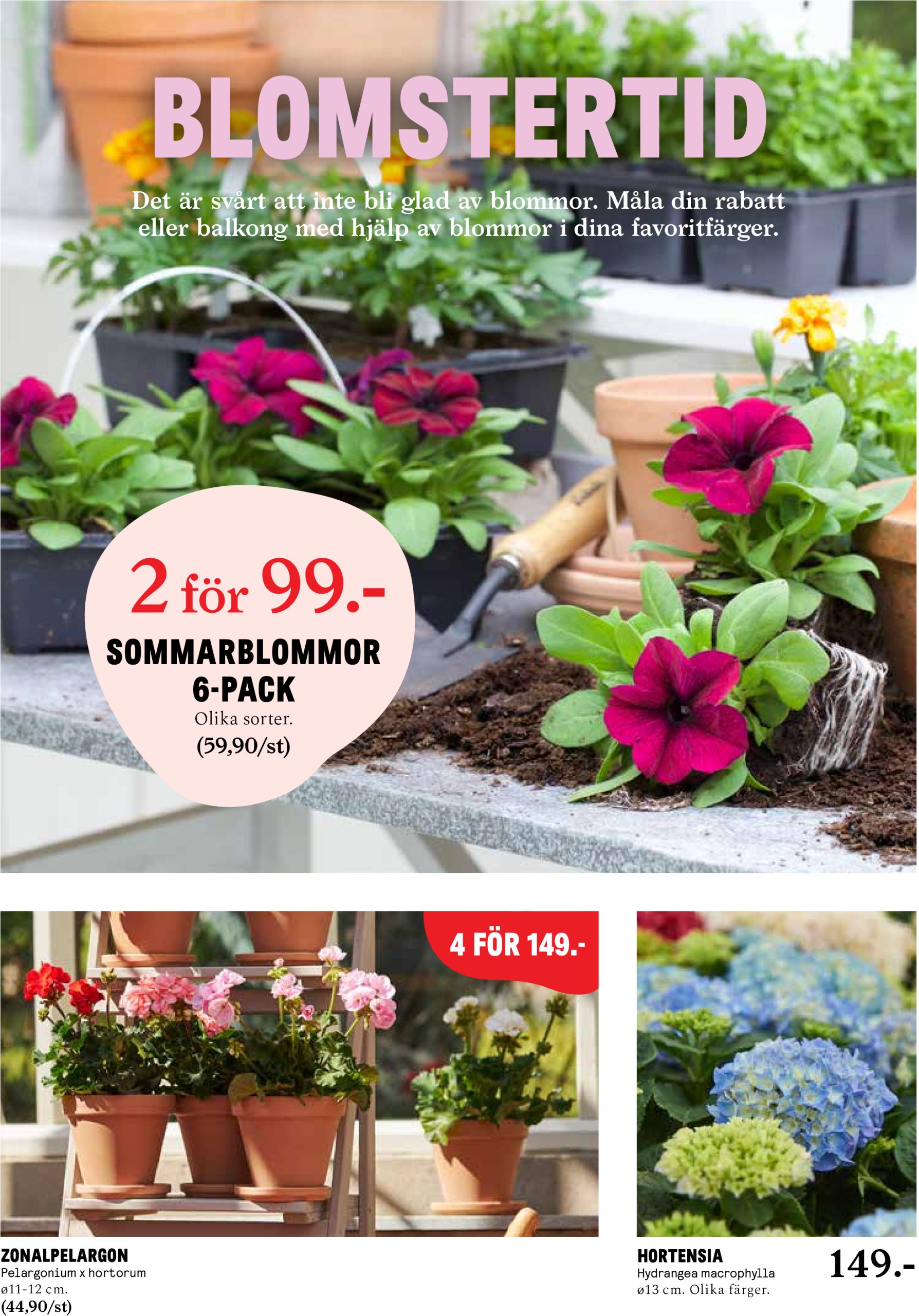 blomster-landet - Blomster Landet-reklambladet giltigt från 26/05 - 01/06 - page: 2