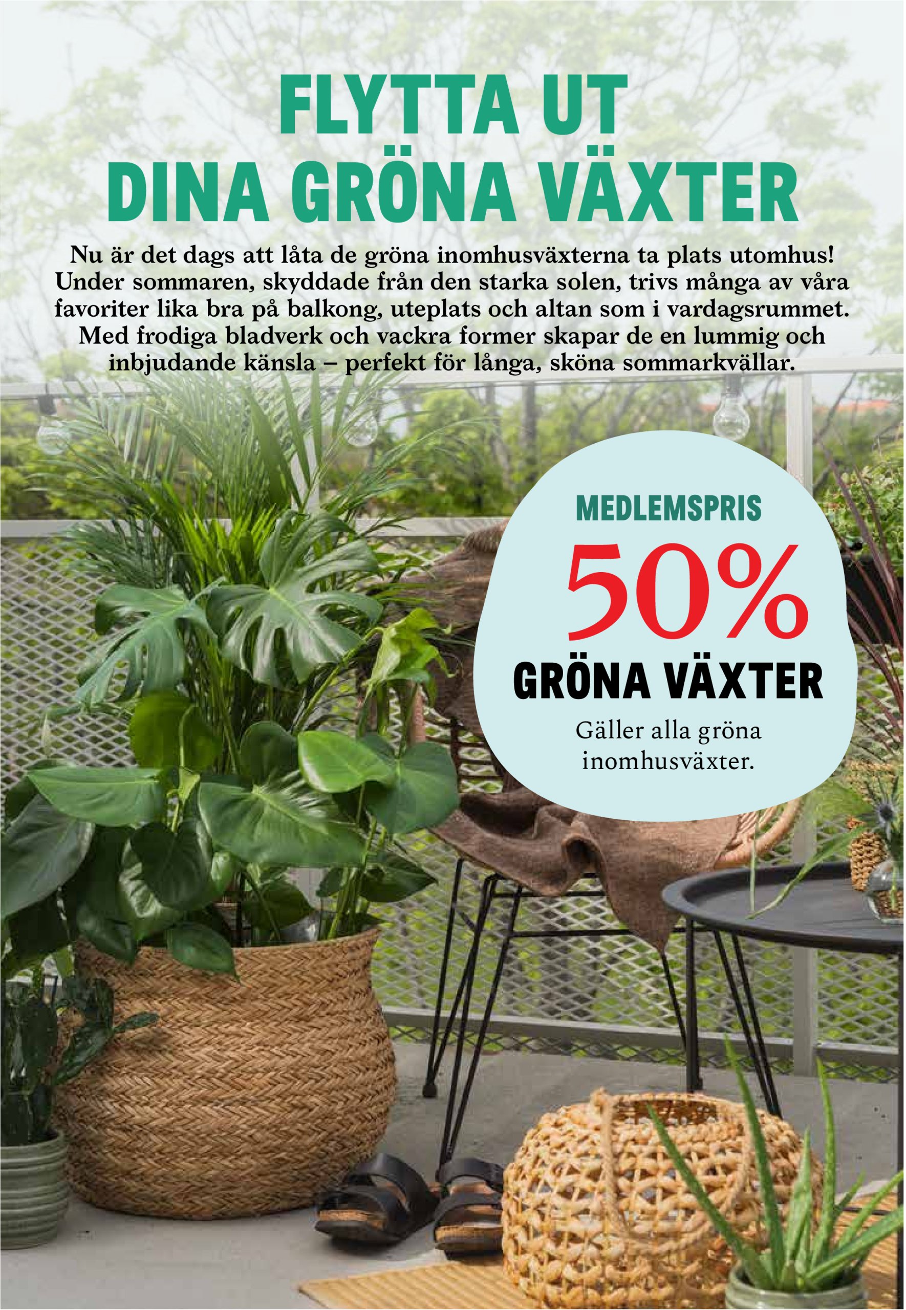 blomster-landet - Blomster Landet-reklambladet giltigt från 26/05 - 01/06 - page: 5