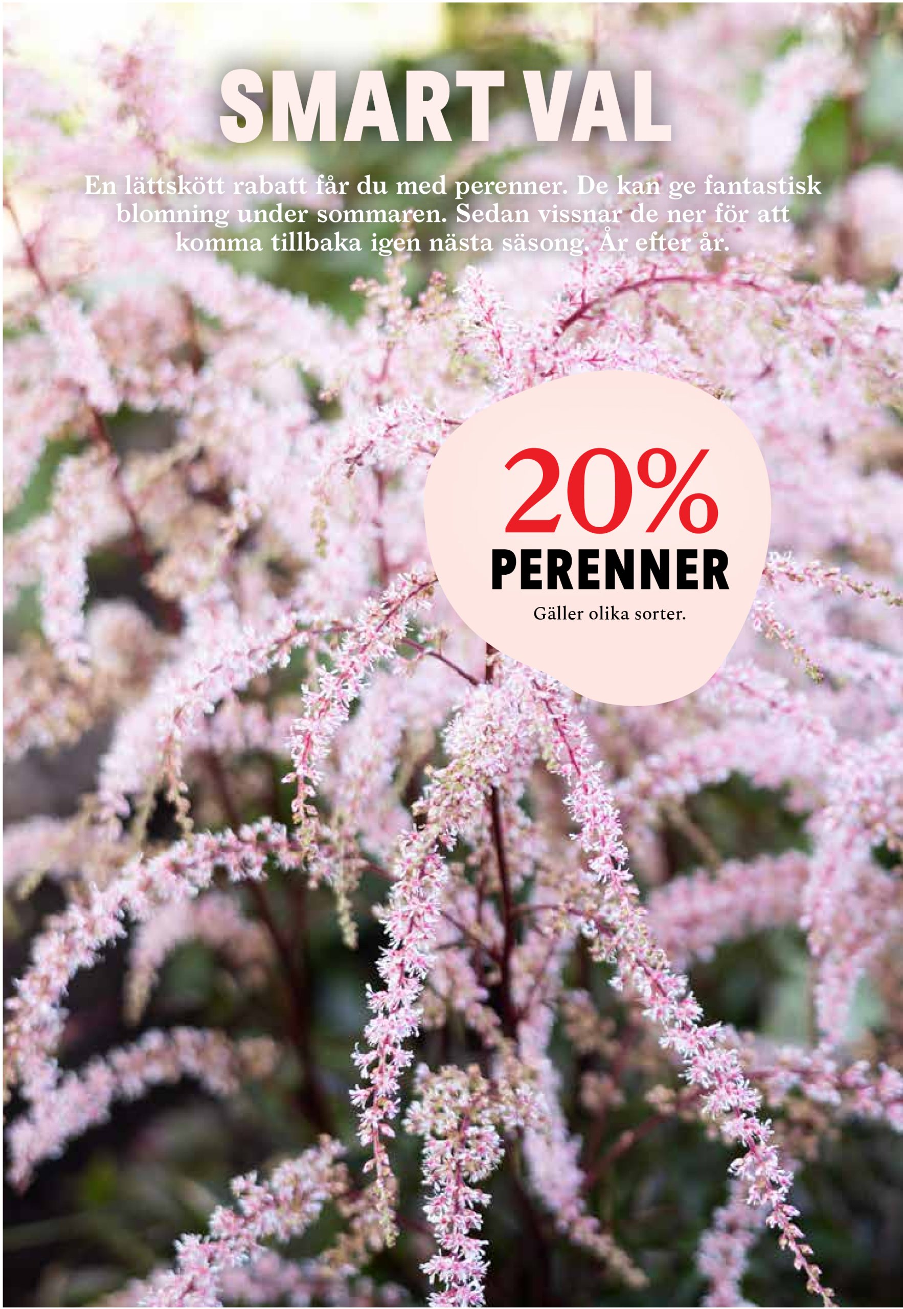 blomster-landet - Blomster Landet-reklambladet giltigt från 26/05 - 01/06 - page: 8