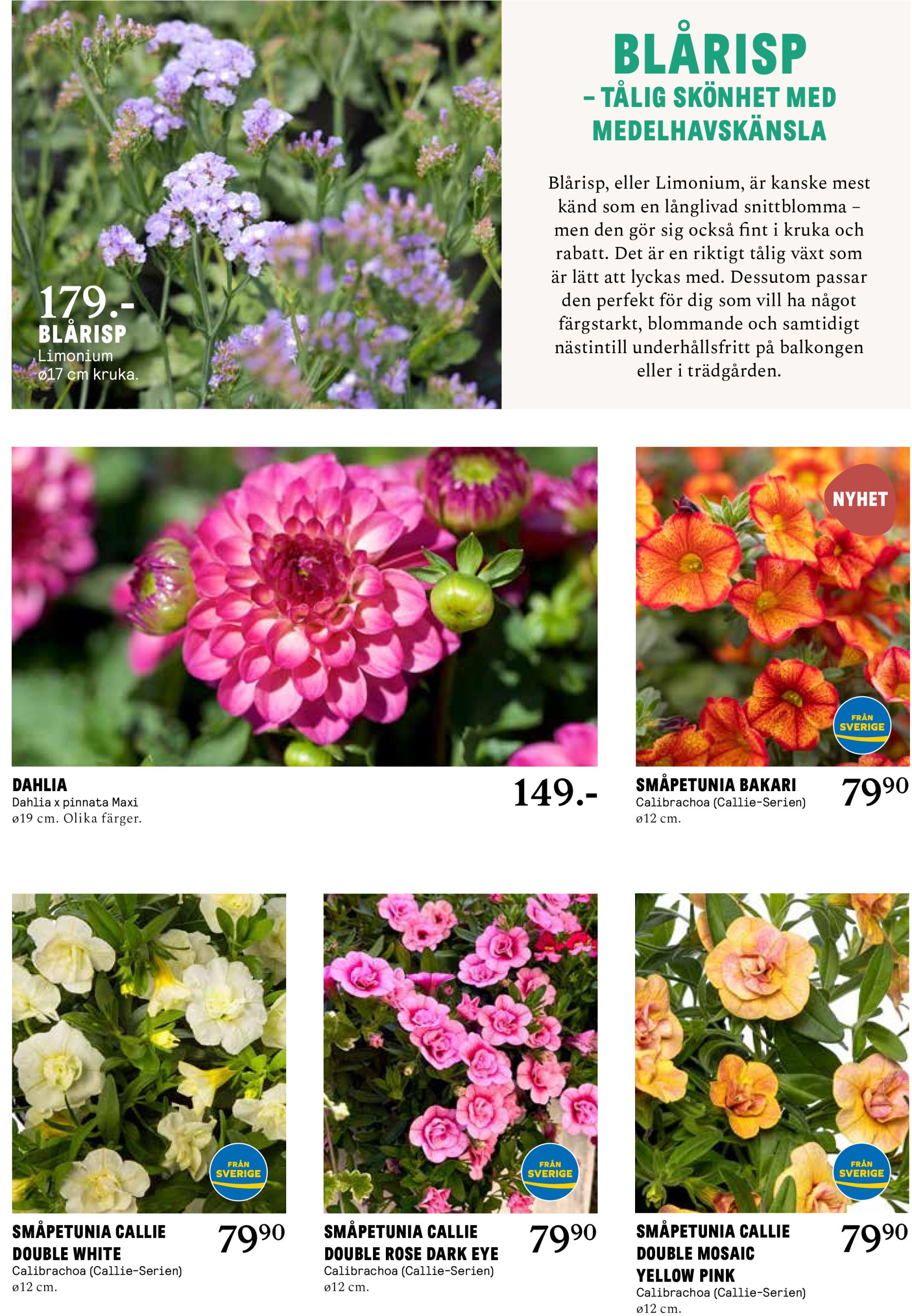 blomster-landet - Blomster Landet-reklambladet giltigt från 26/05 - 01/06 - page: 3
