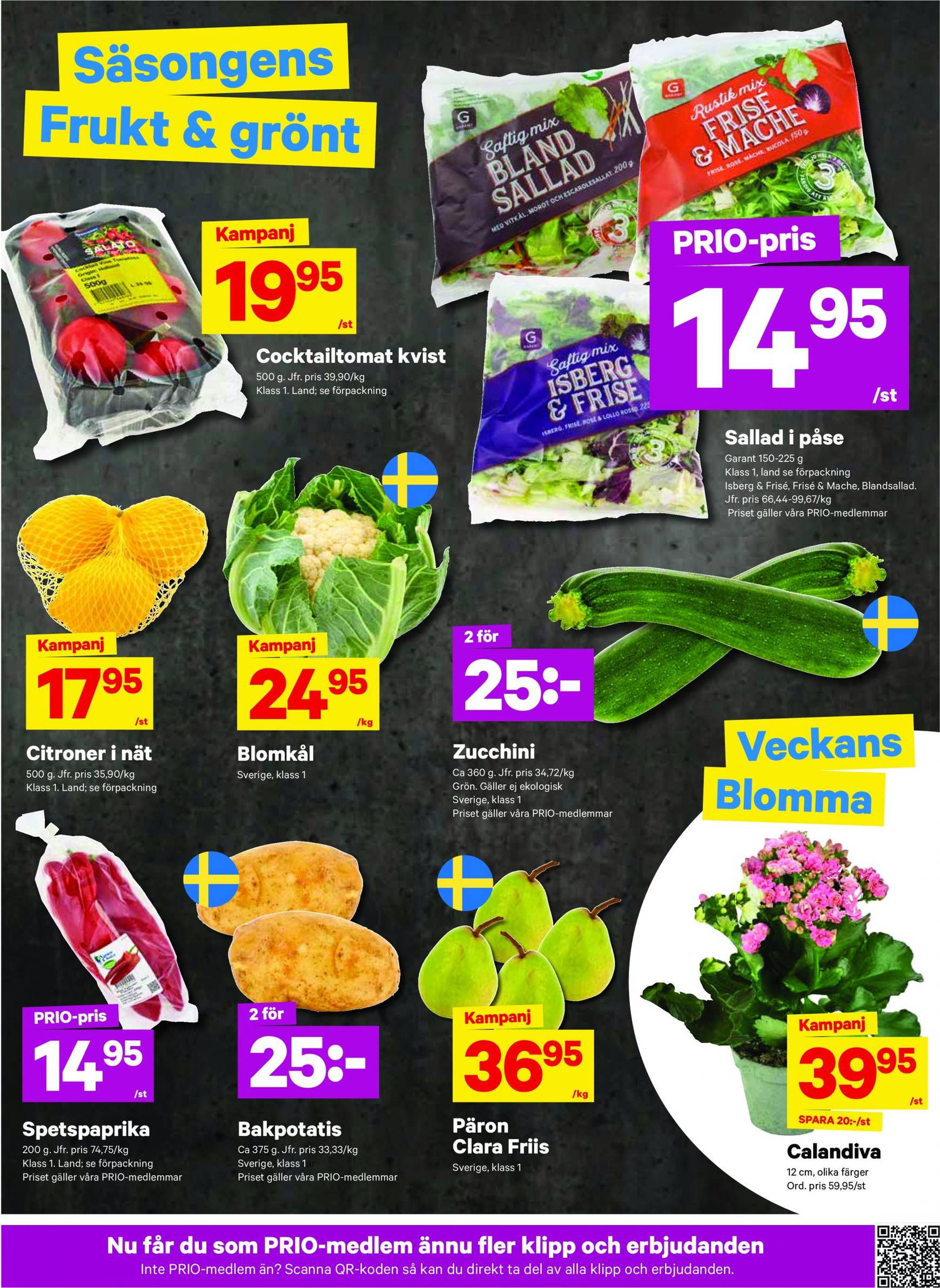 city-gross - City Gross-reklambladet giltigt från 02.09. - 08.09. - page: 3