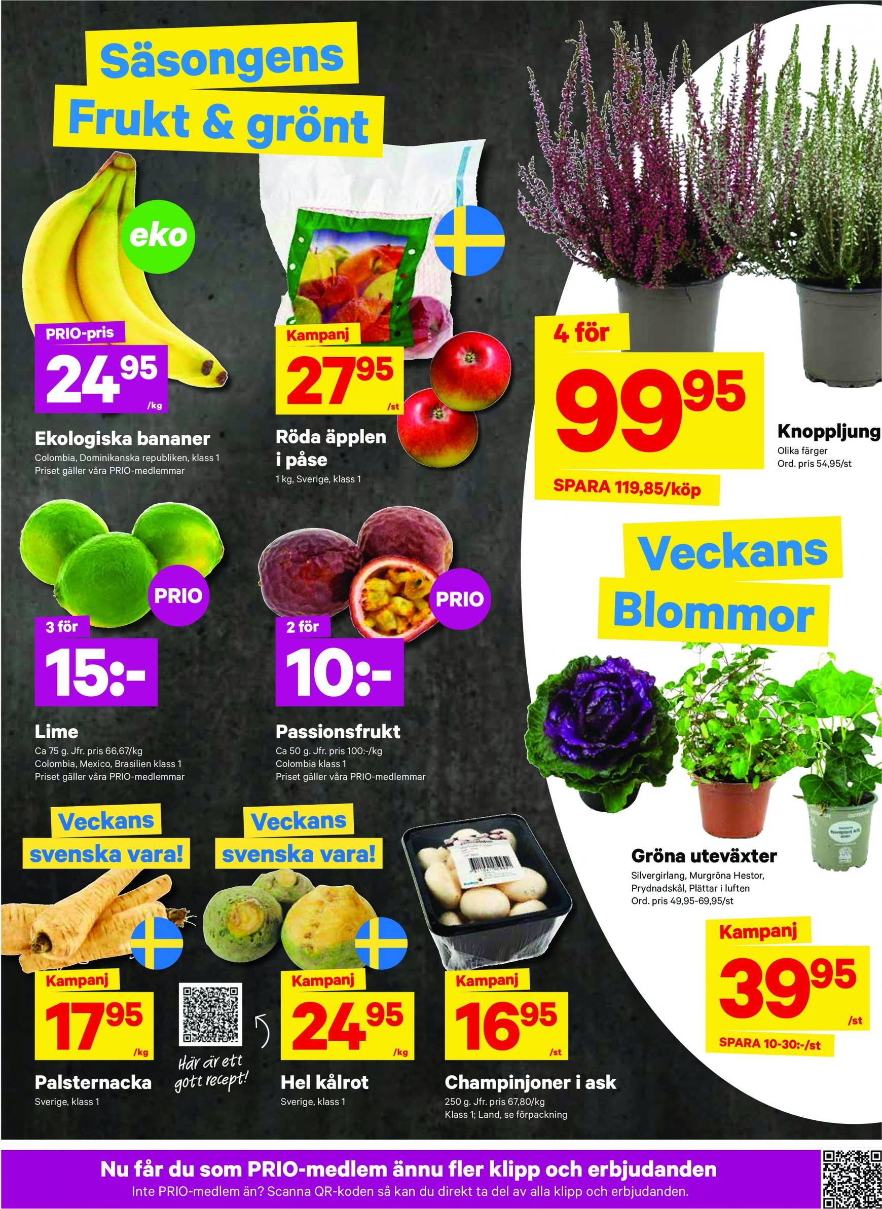 city-gross - City Gross-reklambladet giltigt från 09.09. - 15.09. - page: 3