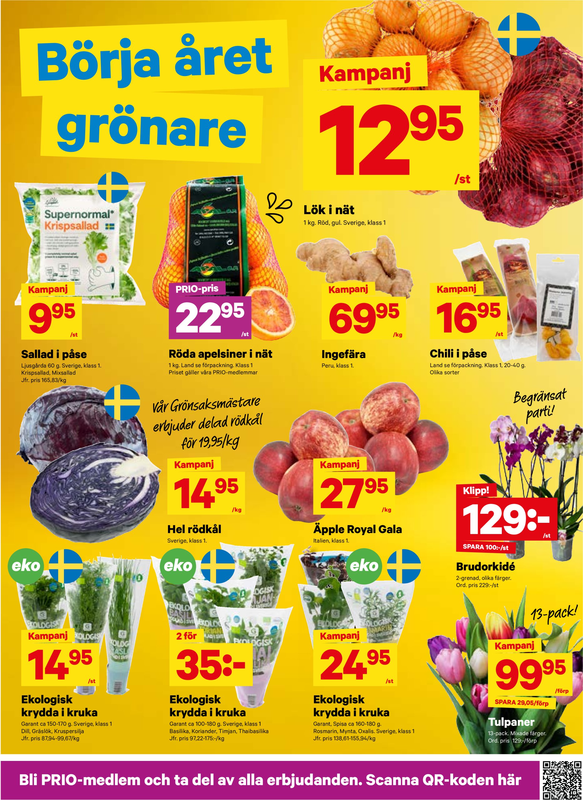 city-gross - City Gross-reklambladet giltigt från 20/01 - 26/01 - page: 3