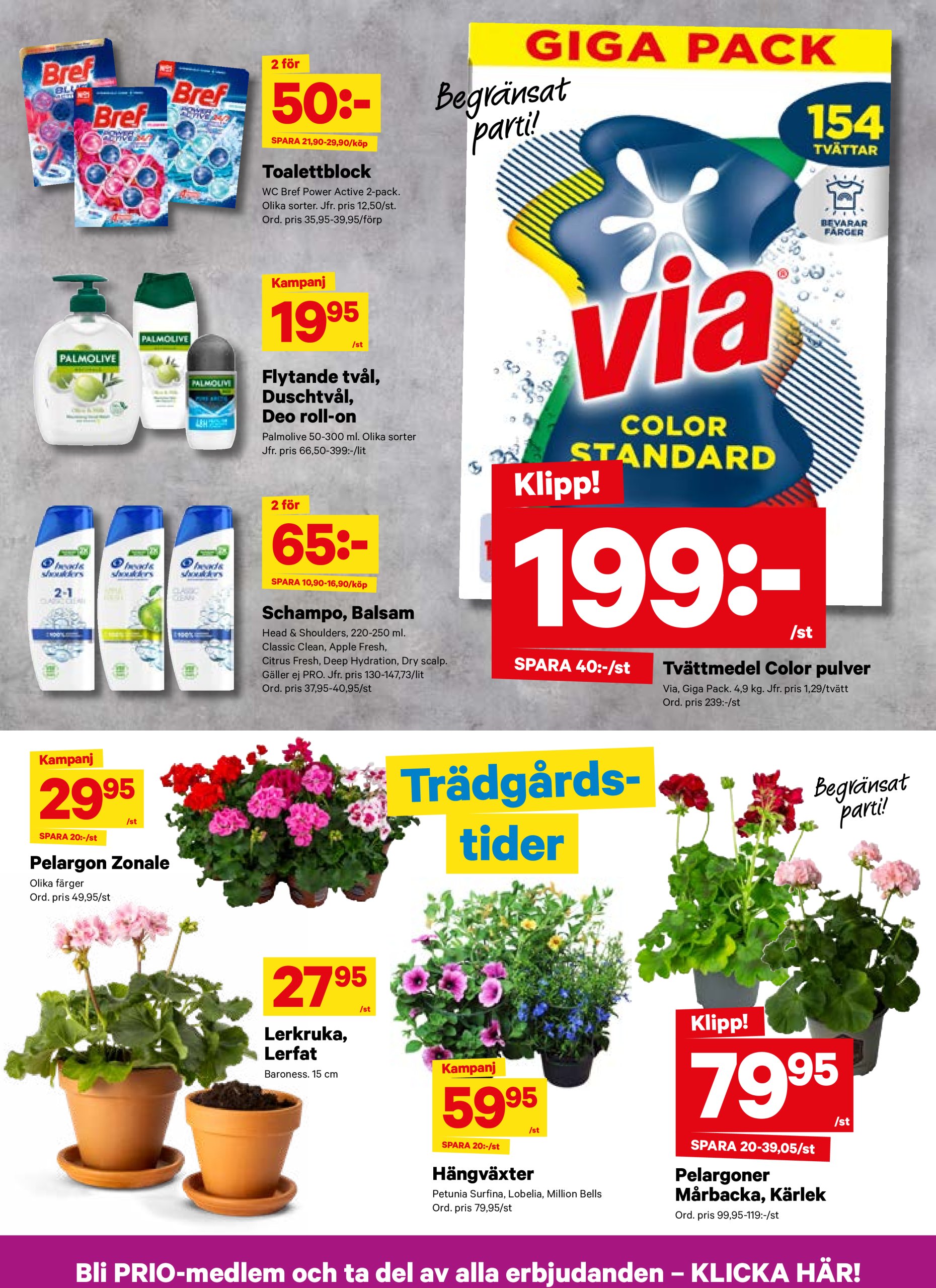 city-gross - City Gross-reklambladet giltigt från 12/05 - 18/05 - page: 11
