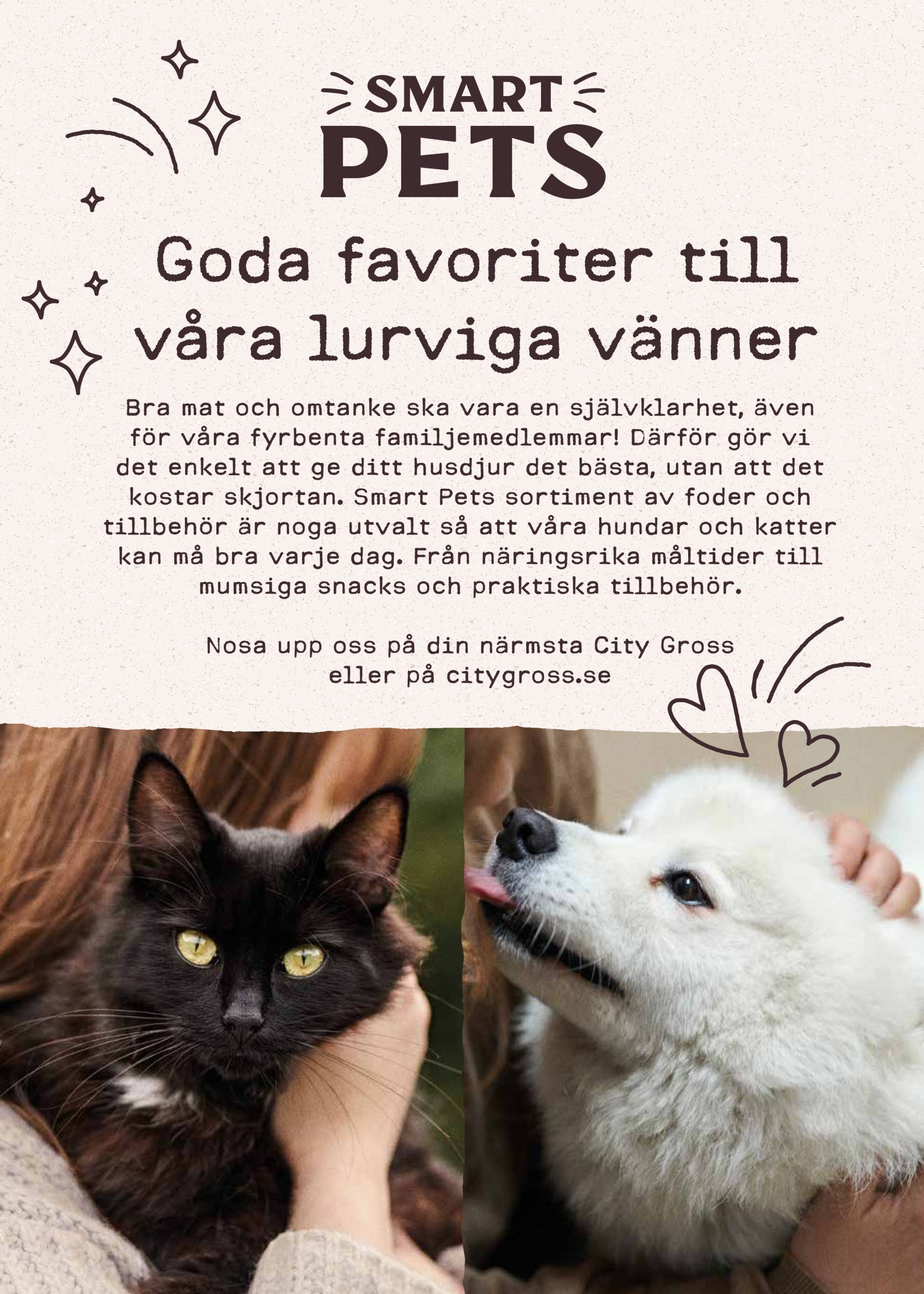 city-gross - City Gross-reklambladet giltigt från 19/05 - 25/05 - page: 10