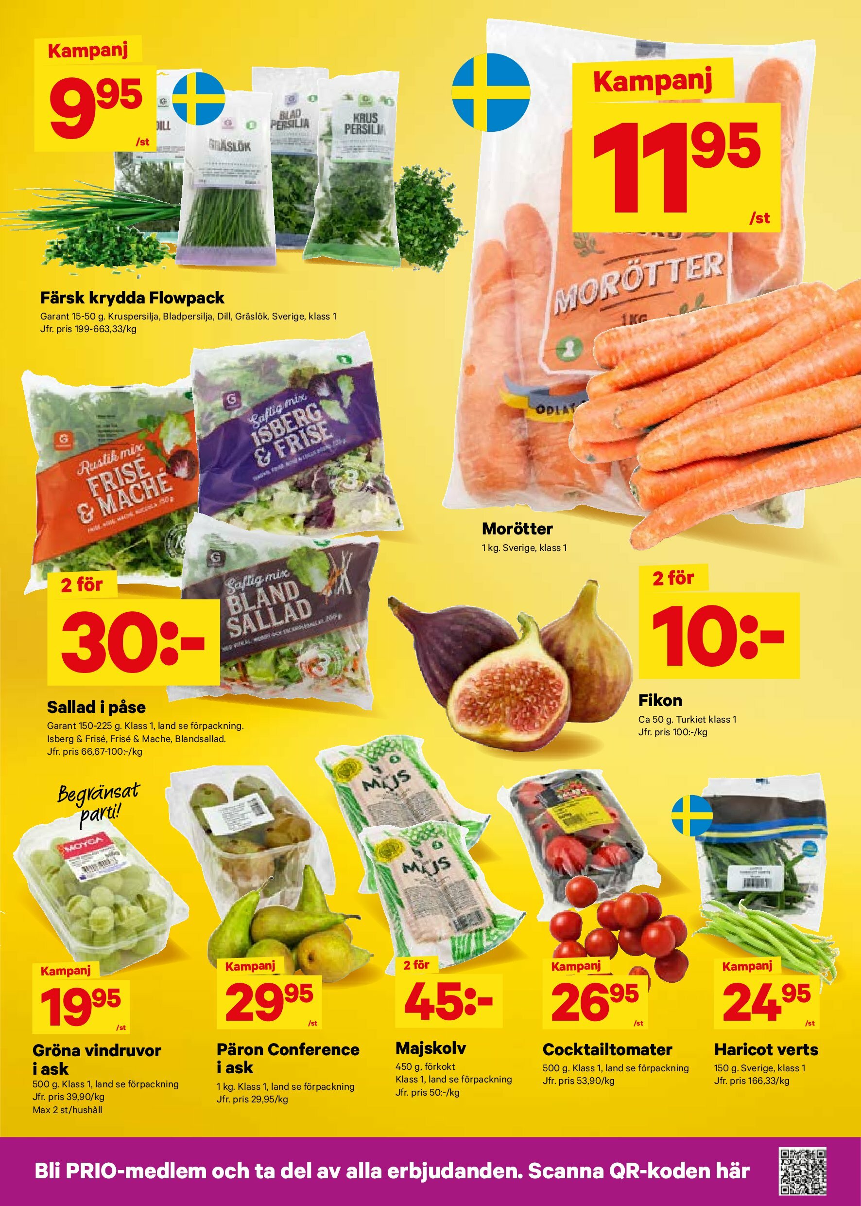 city-gross - City Gross-reklambladet giltigt från 18/08 - 24/08 - page: 3