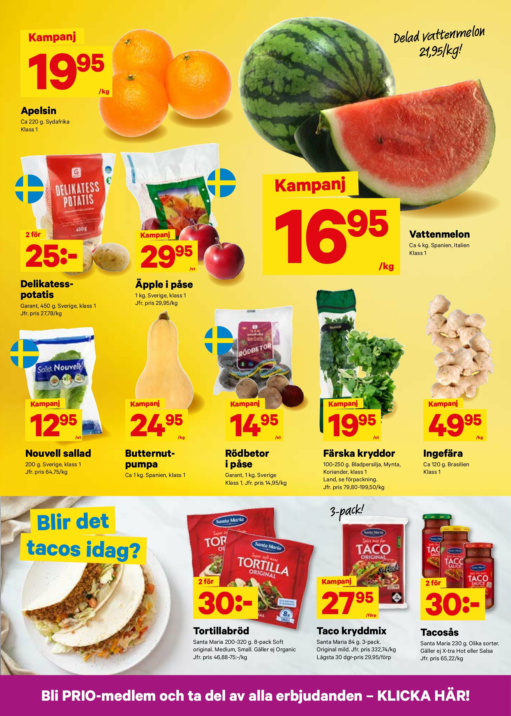 city-gross - City Gross-reklambladet giltigt från 25/08 - 31/08 - page: 3