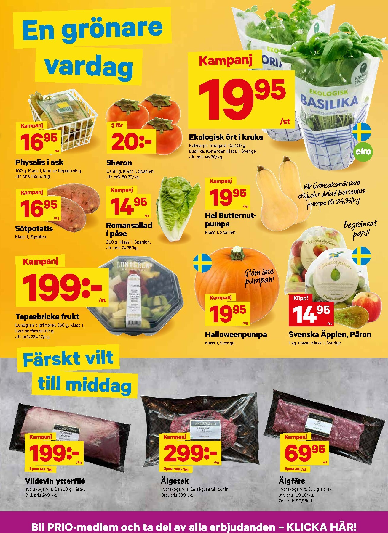 city-gross - City Gross-reklambladet giltigt från 27/10 - 02/11 - page: 3