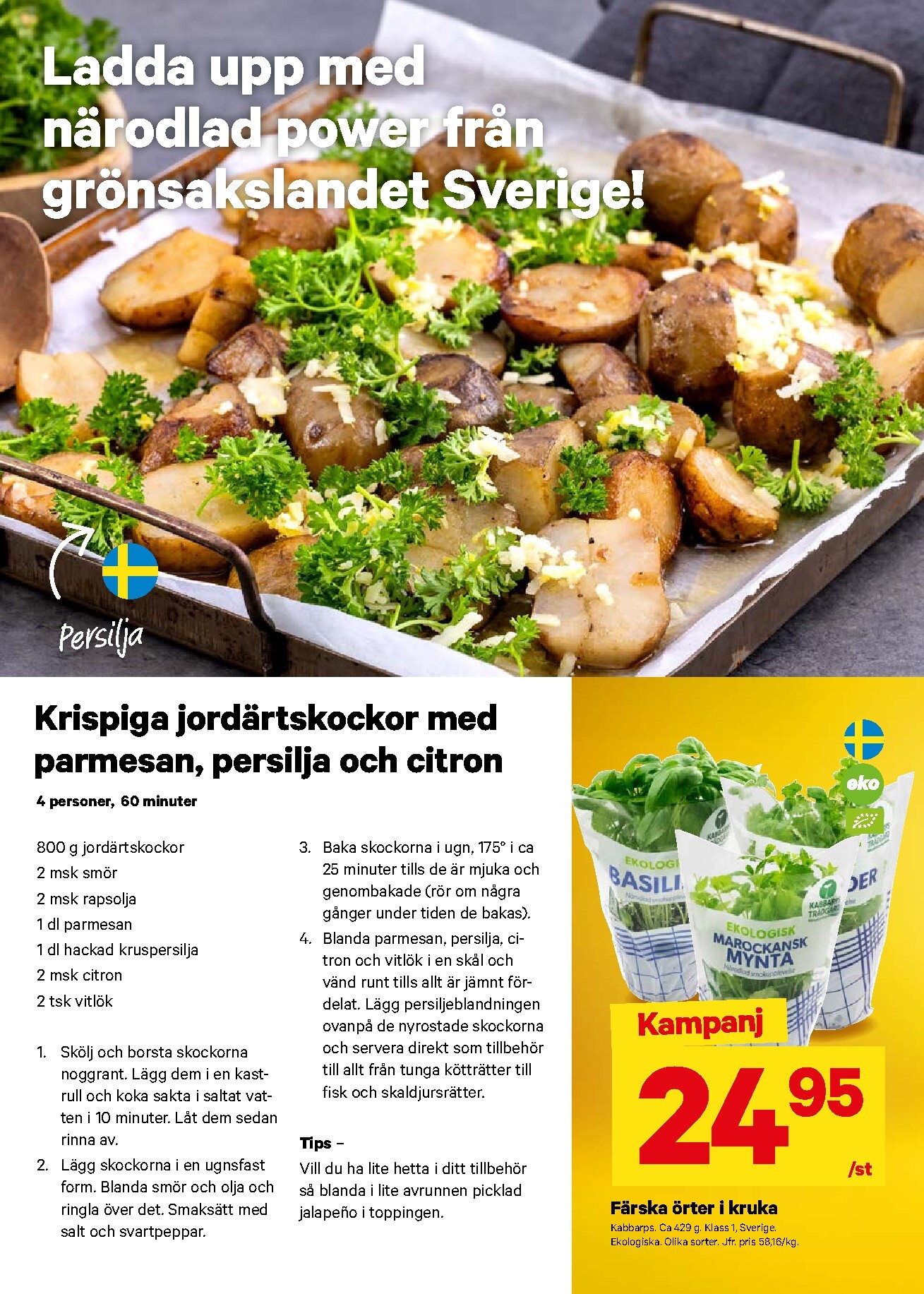 city-gross - City Gross-reklambladet giltigt från 23/03/2026 - 29/03/2026 - page: 5