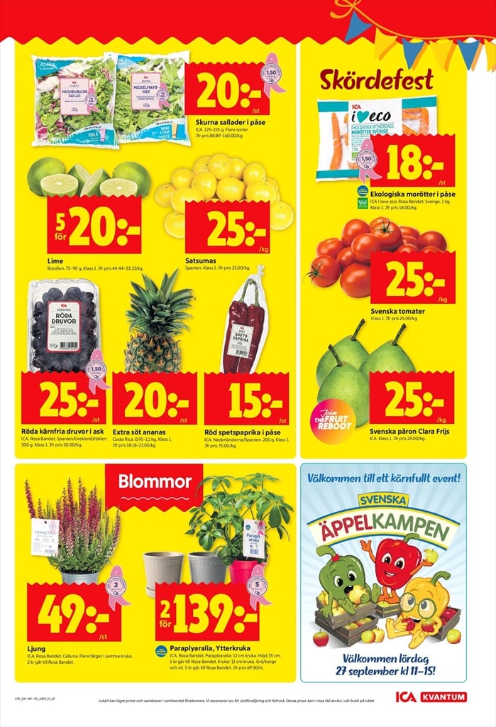 ica-kvantum - ICA Kvantum-reklambladet giltigt från 22/09 - 28/09 - page: 9