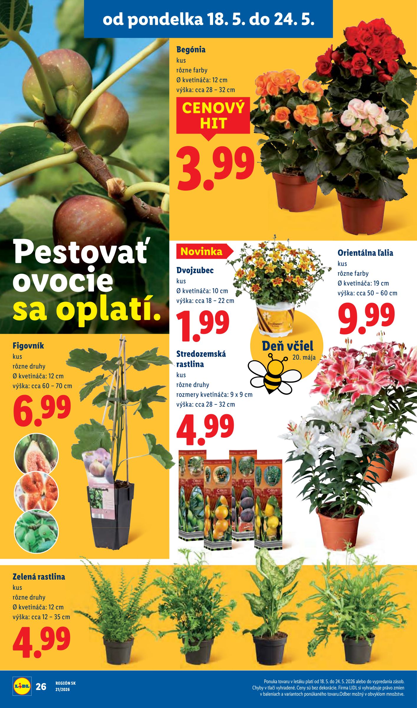 lidl - Aktuálny Lidl leták od pondelka, 18.05.2026 do nedele, 24.05.2026 - page: 32