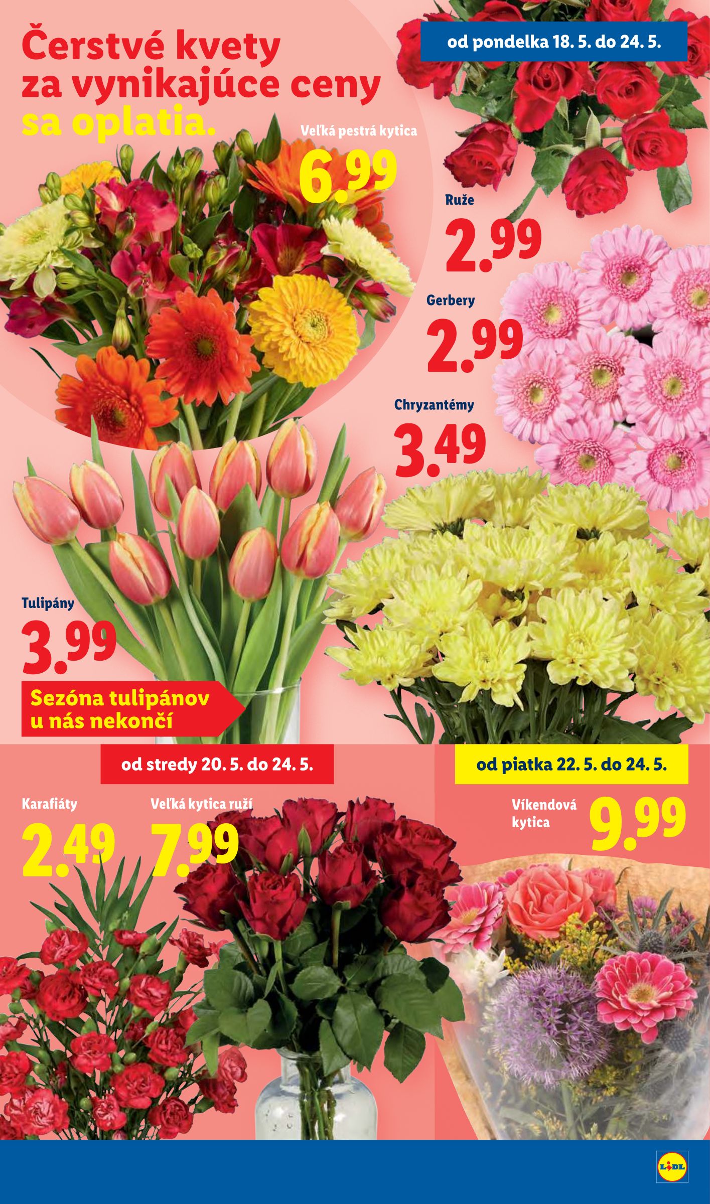lidl - Aktuálny Lidl leták od pondelka, 18.05.2026 do nedele, 24.05.2026 - page: 33