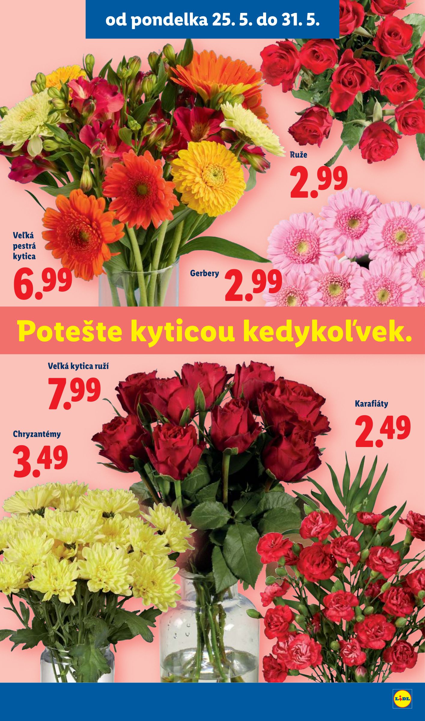 lidl - Nový Lidl leták od pondelka, 25.05.2026 do nedele, 31.05.2026 - page: 49
