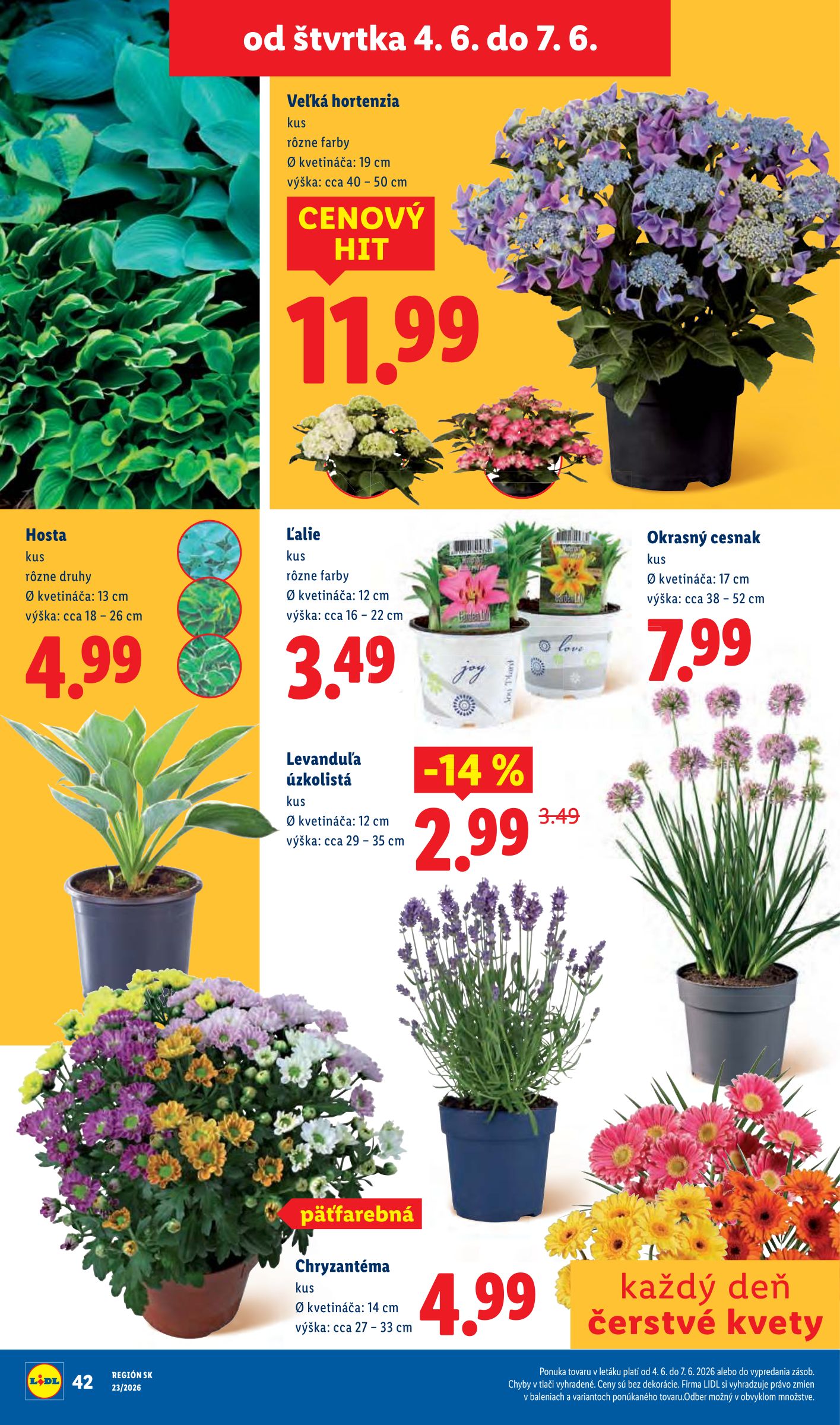 lidl - Nový Lidl leták od pondelka, 01.06.2026 do nedele, 07.06.2026 - page: 78