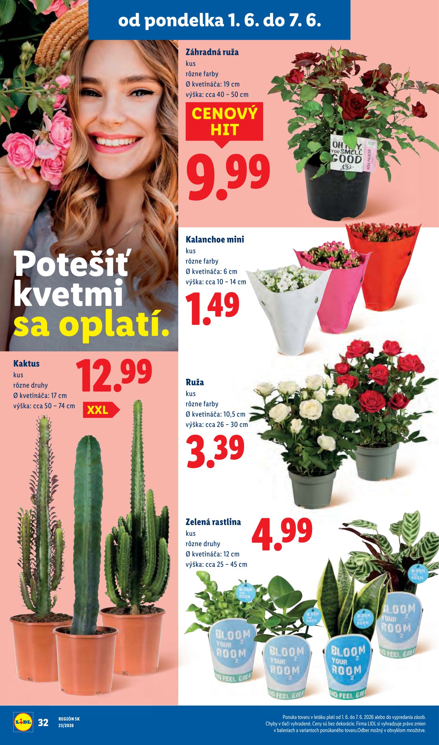 lidl - Nový Lidl leták od pondelka, 01.06.2026 do nedele, 07.06.2026 - page: 46