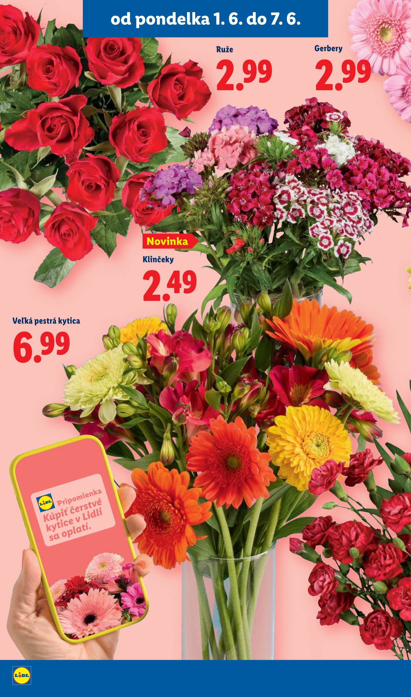 lidl - Aktuálny Lidl leták od pondelka, 01.06.2026 do nedele, 07.06.2026 - page: 50