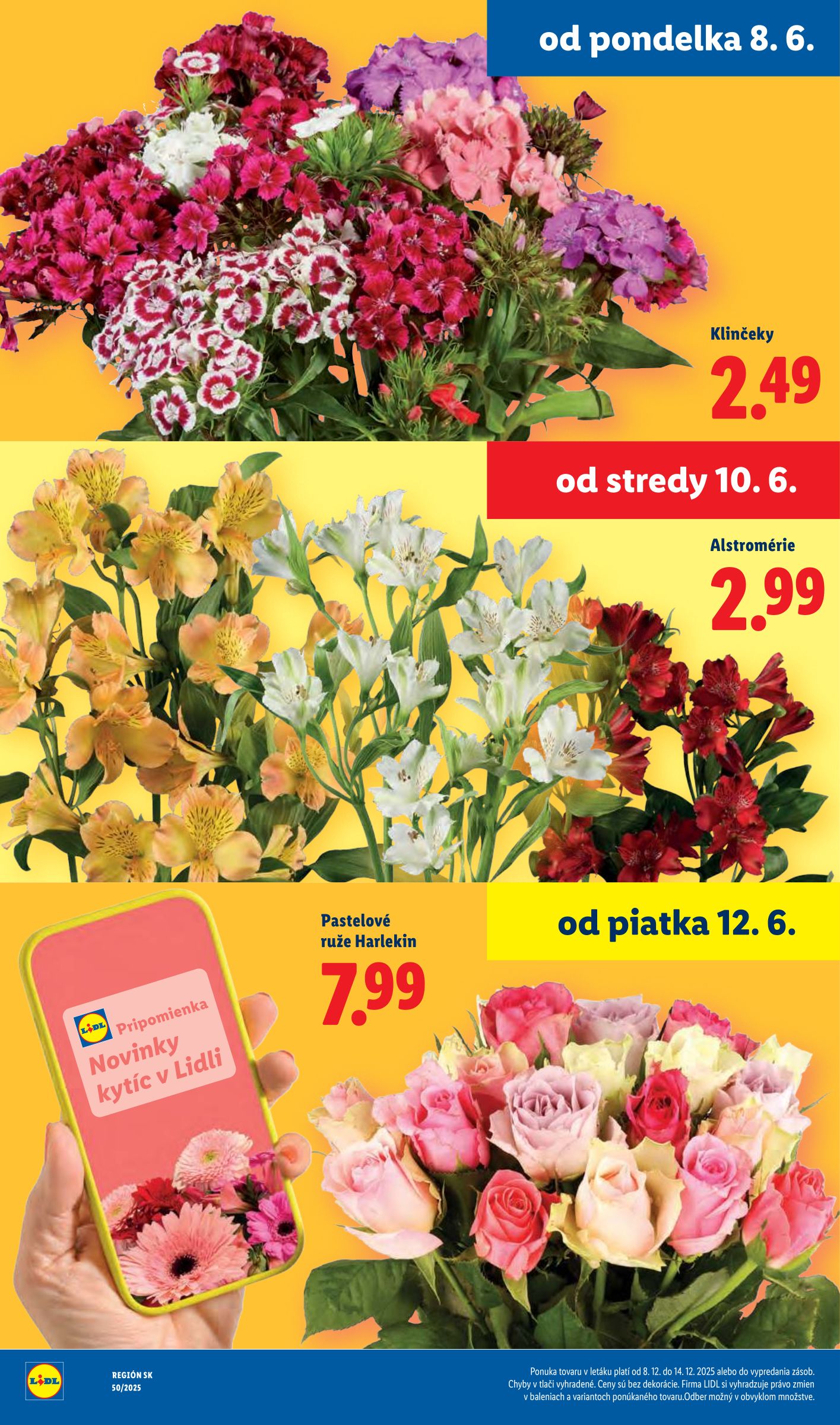 lidl - Aktuálny Lidl leták od pondelka, 08.06.2026 do nedele, 14.06.2026 - page: 45