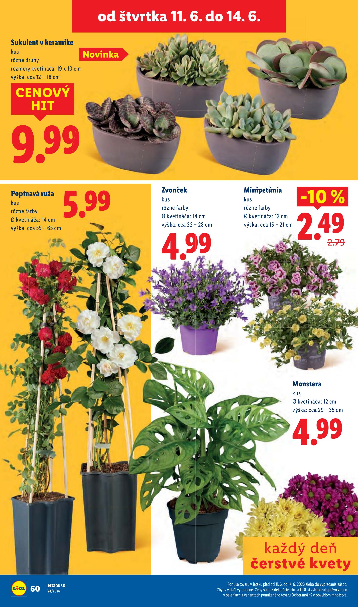 lidl - Aktuálny Lidl leták od pondelka, 08.06.2026 do nedele, 14.06.2026 - page: 80