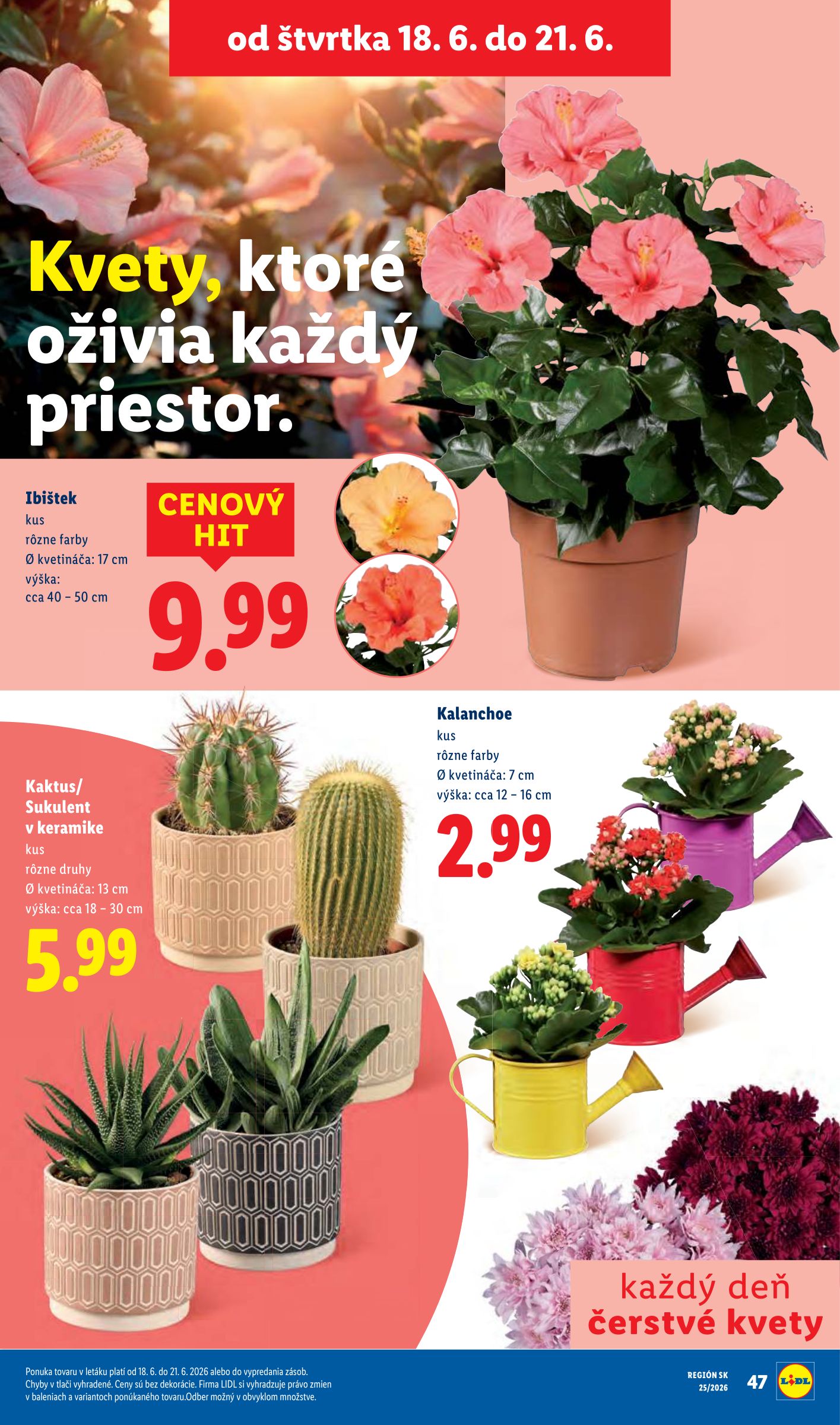 lidl - Nový Lidl leták od pondelka, 15.06.2026 do nedele, 21.06.2026 - page: 79