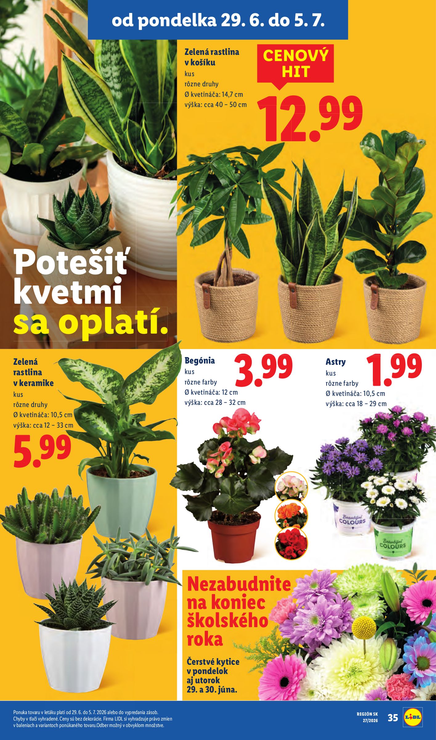 lidl - Nový Lidl leták od pondelka, 29.06.2026 do nedele, 05.07.2026 - page: 61