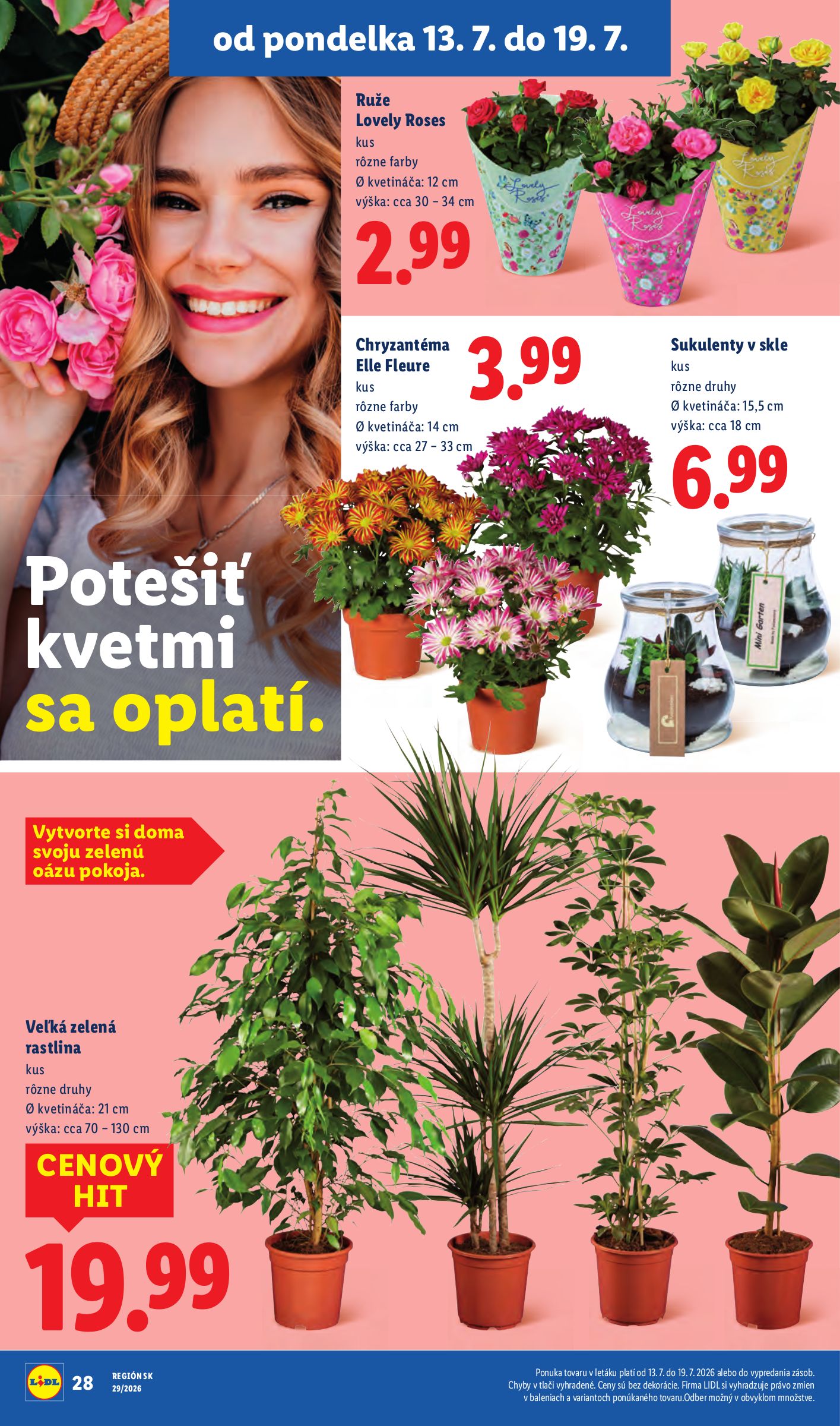lidl - Nový Lidl leták od pondelka, 13.07.2026 do nedele, 19.07.2026 - page: 37