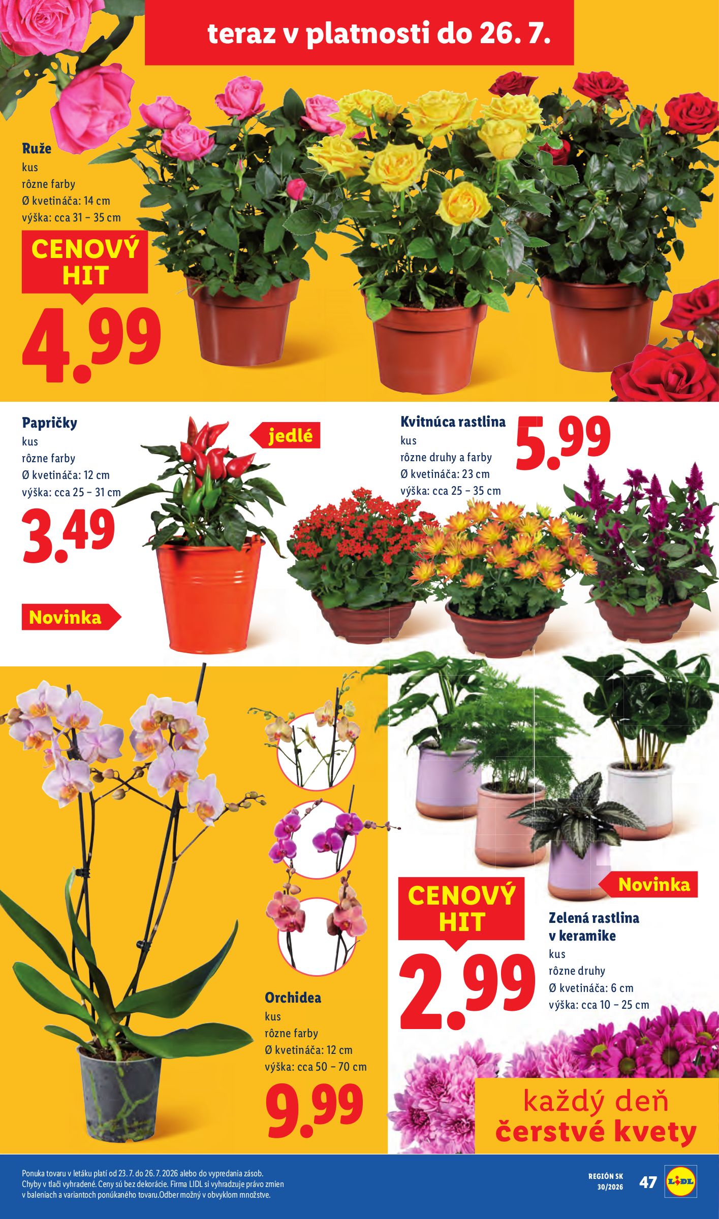 lidl - Aktuálny Lidl leták od pondelka, 20.07.2026 do nedele, 26.07.2026 - page: 71
