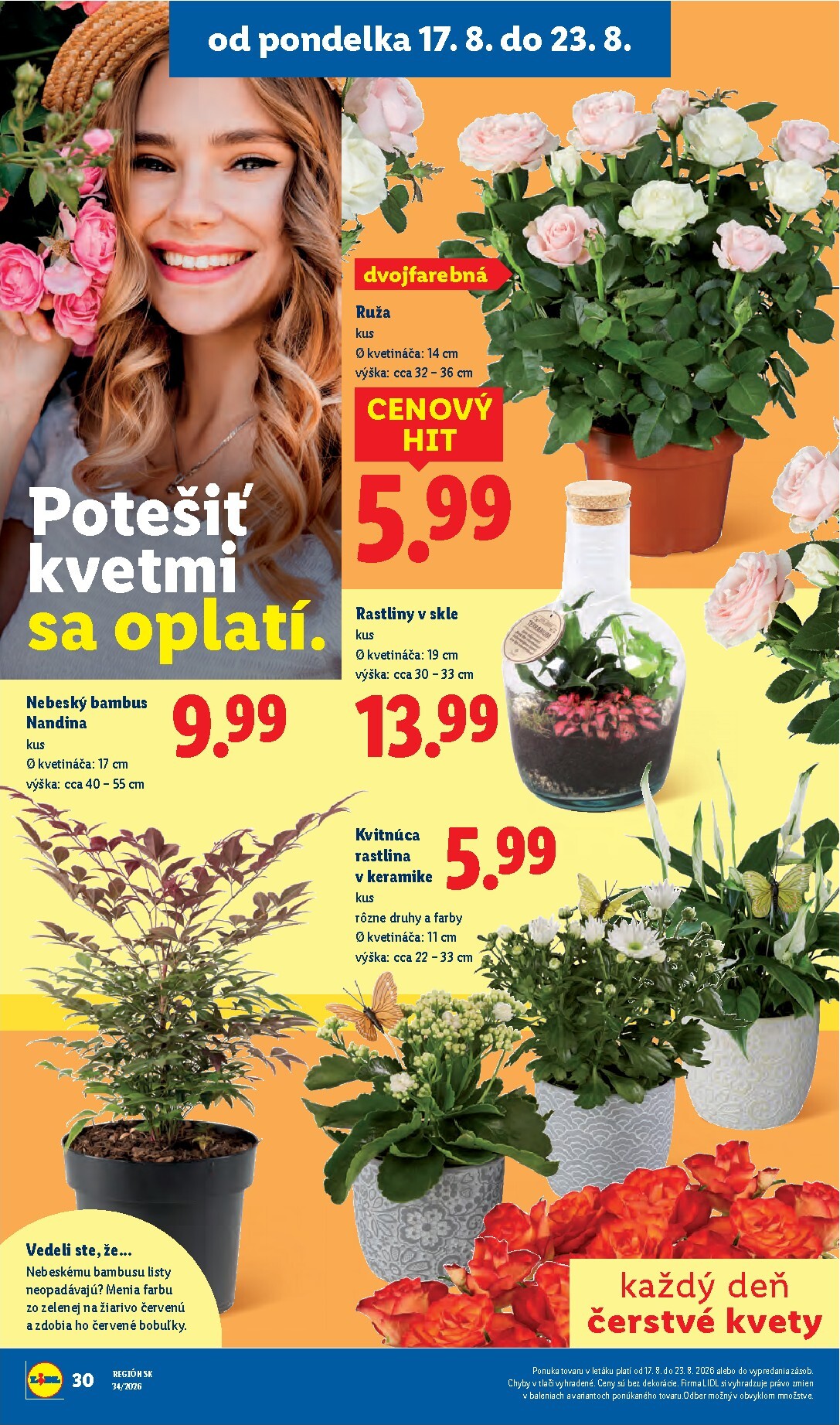 lidl - Aktuálny Lidl leták od pondelka, 17.08.2026 do nedele, 23.08.2026 - page: 42